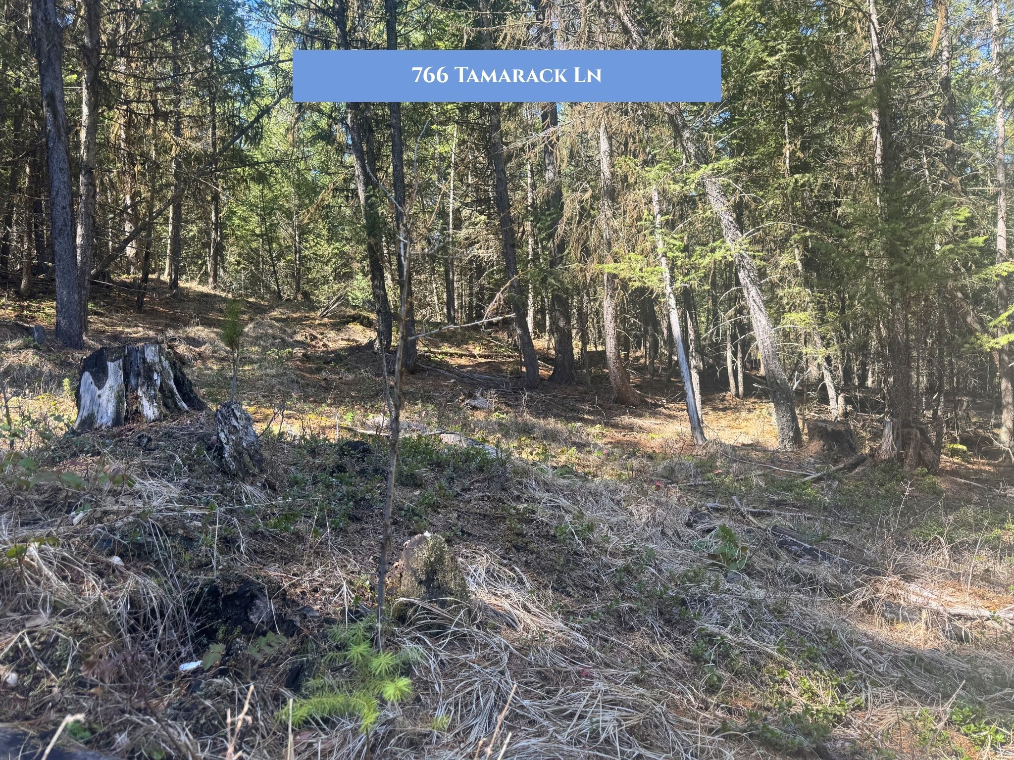 Lot 14 Tamarack Lane