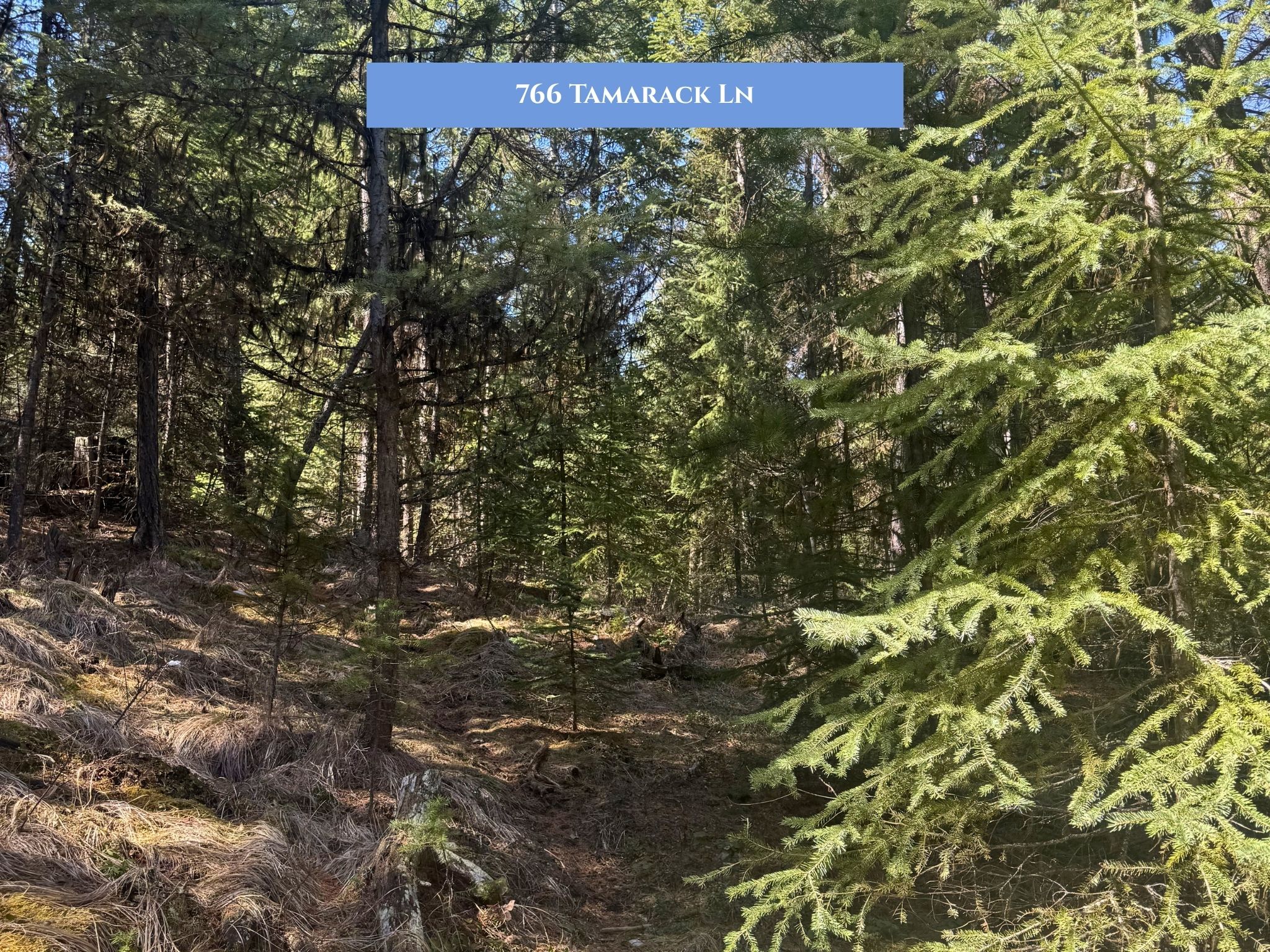 Lot 14 Tamarack Lane