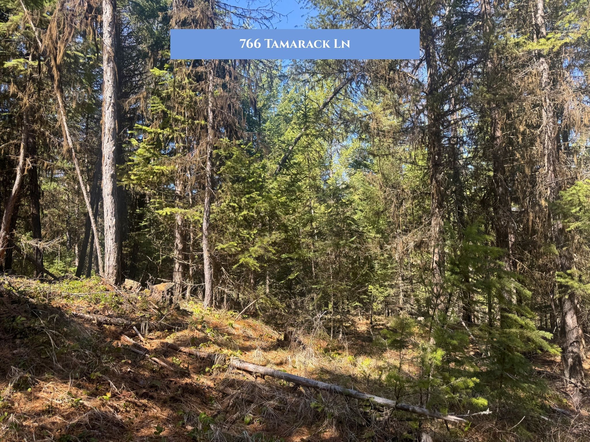 Lots 11 & 14 Tamarack Lane