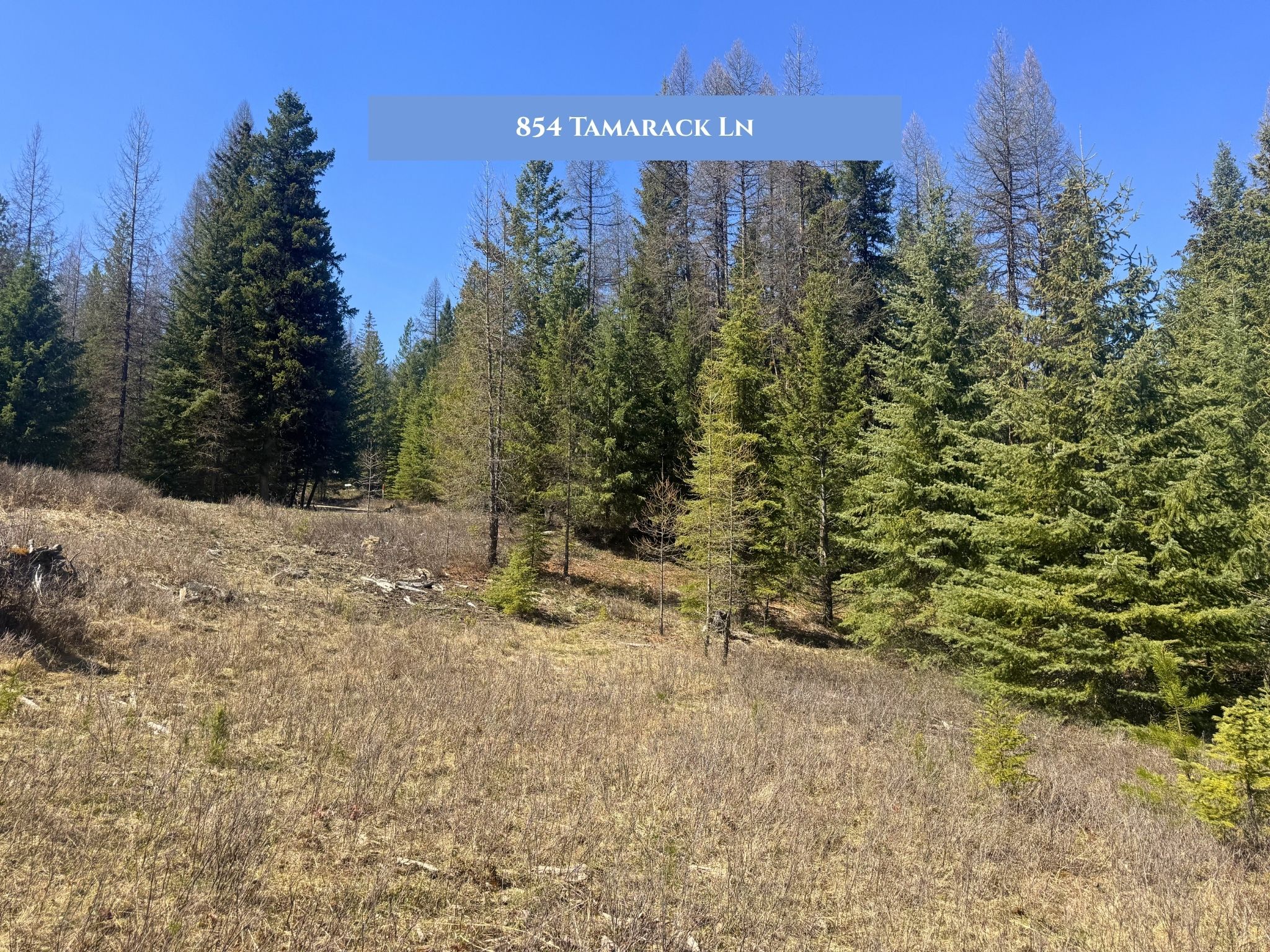 Lots 11 & 14 Tamarack Lane