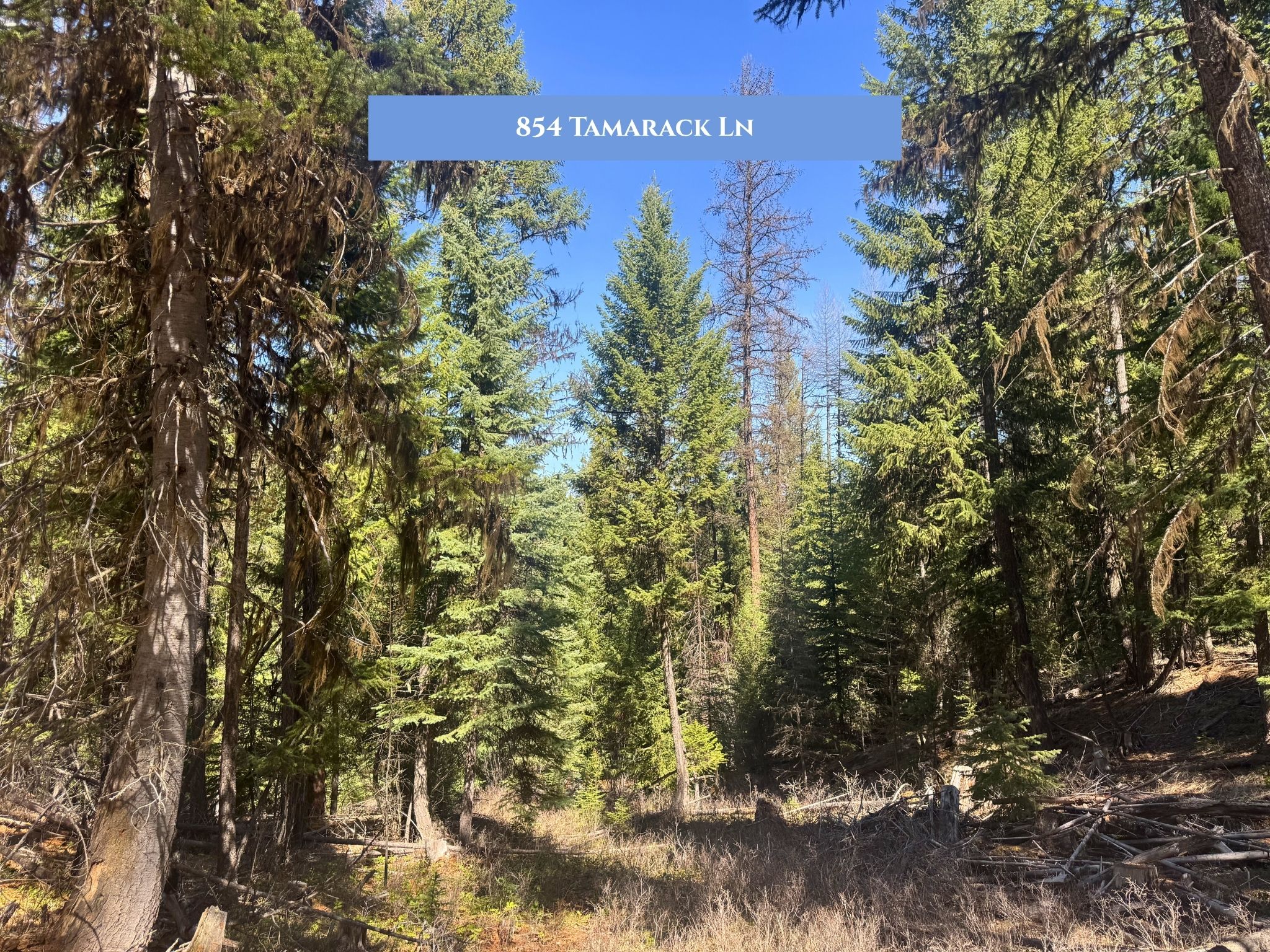 Lots 11 & 14 Tamarack Lane