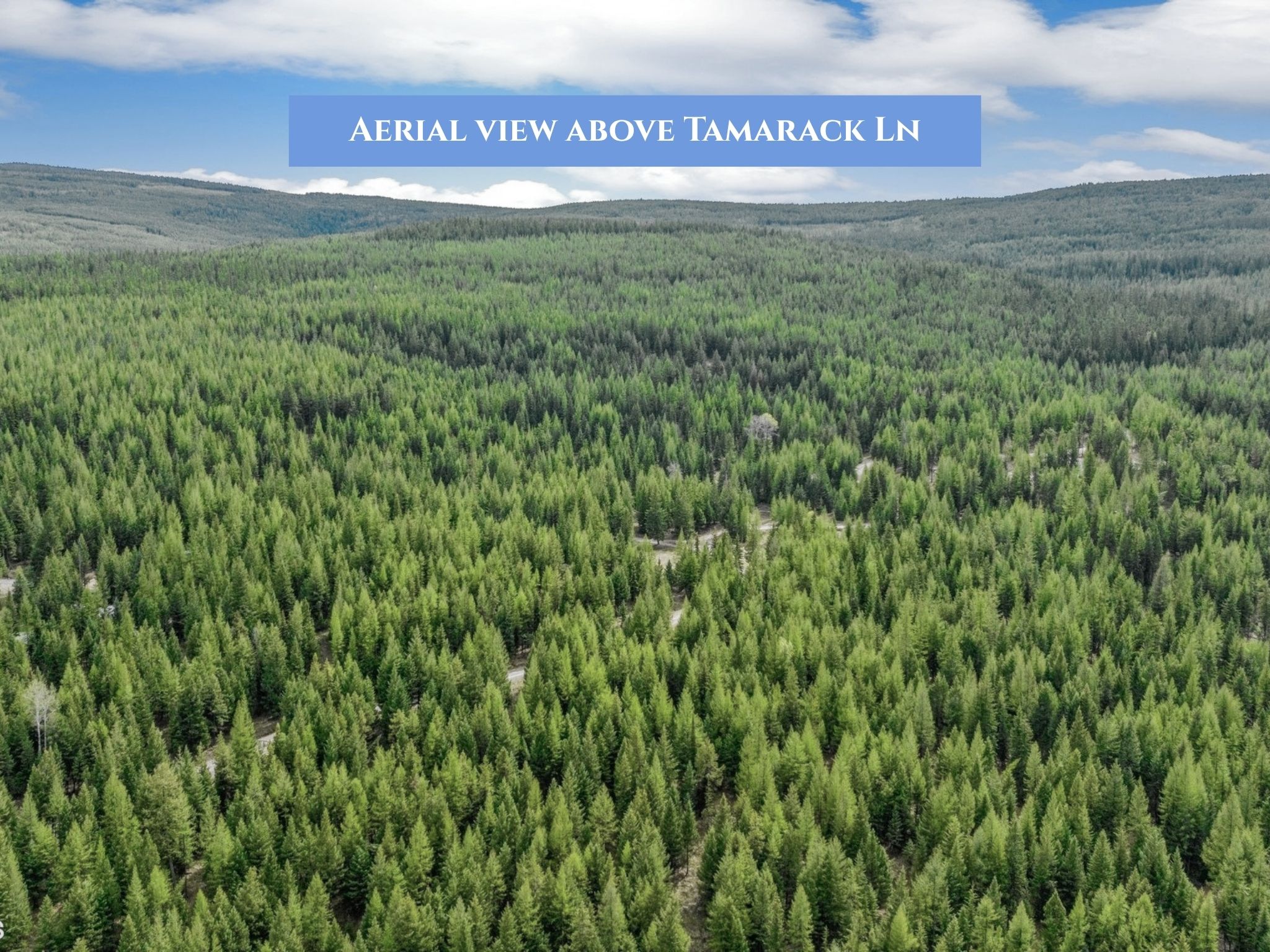Lots 11 & 14 Tamarack Lane