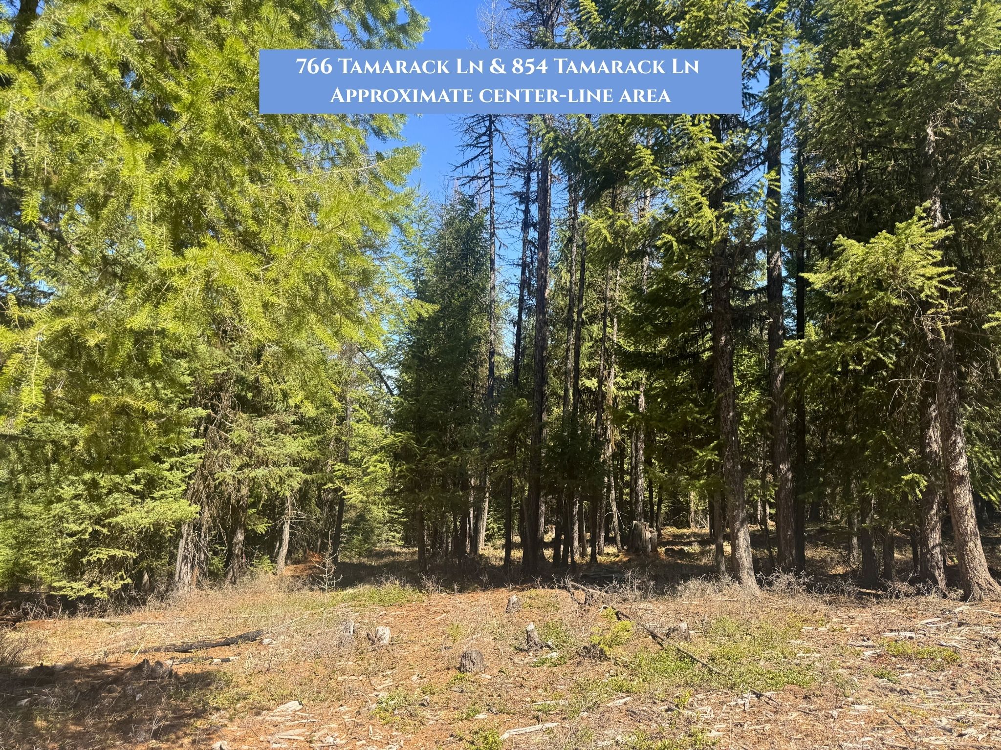 Lots 11 & 14 Tamarack Lane