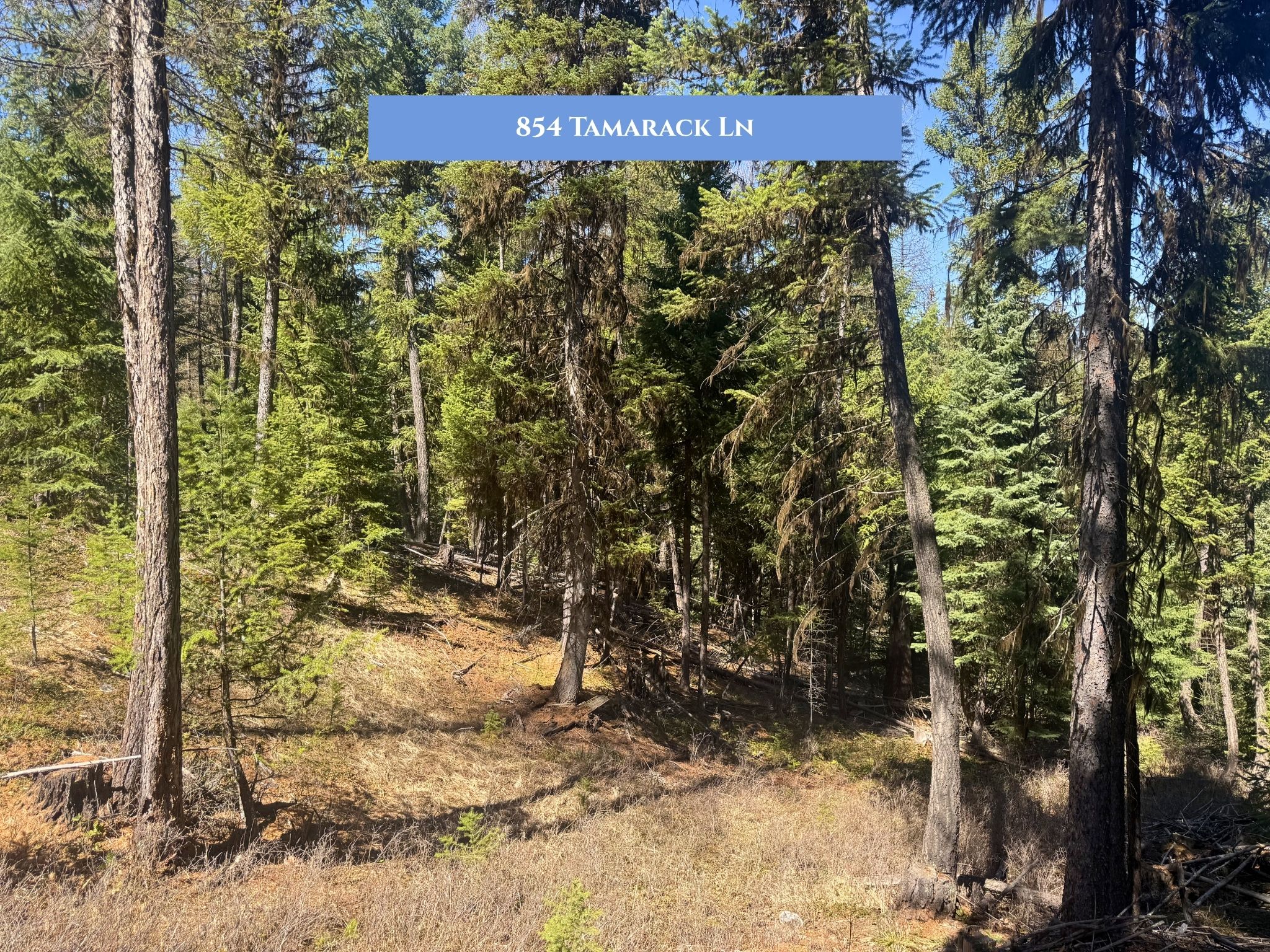 Lots 11 & 14 Tamarack Lane