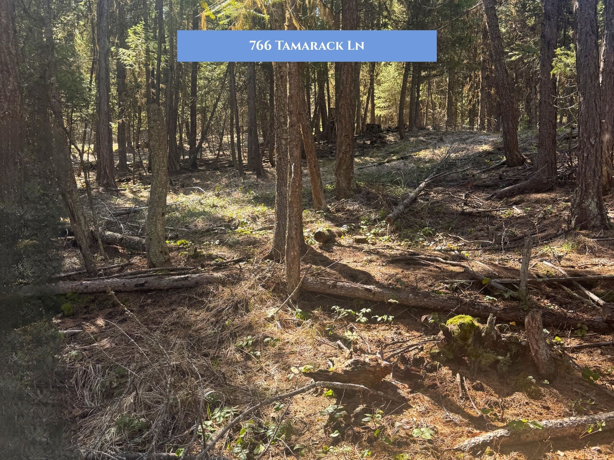 Lots 11 & 14 Tamarack Lane