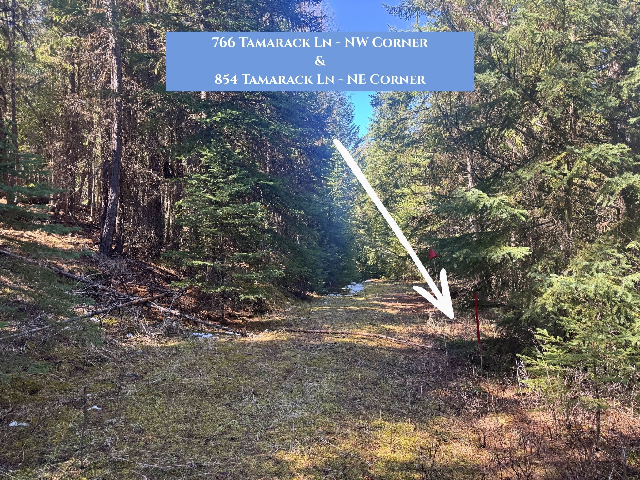 Lots 11 & 14 Tamarack Lane