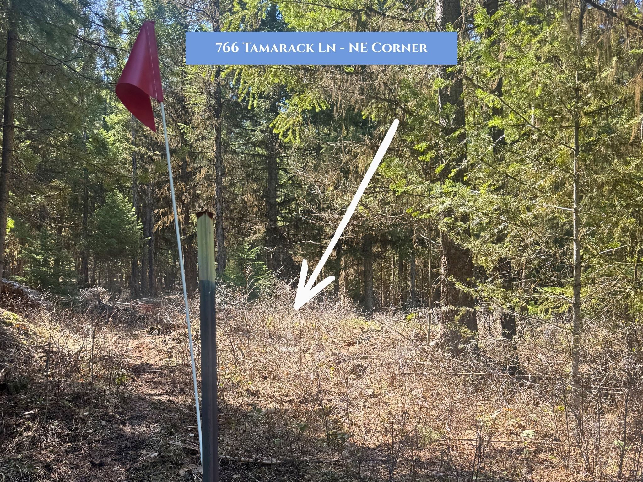 Lots 11 & 14 Tamarack Lane