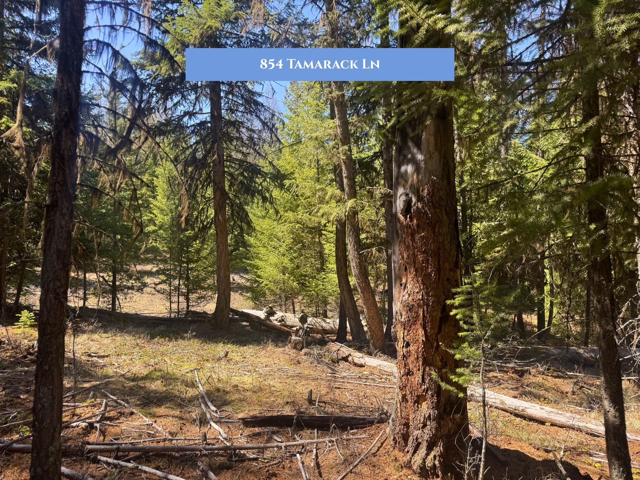 Lots 11 & 14 Tamarack Lane