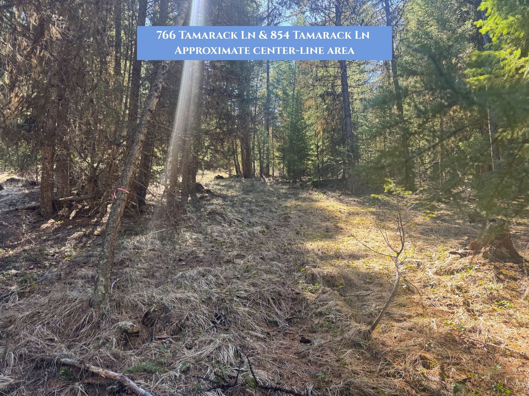 Lots 11 & 14 Tamarack Lane