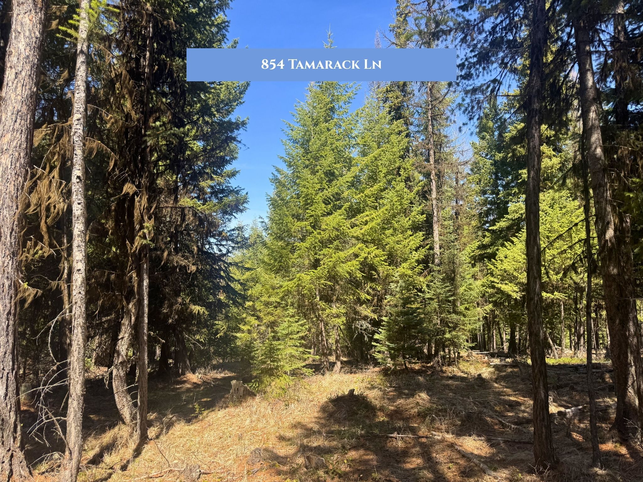 Lots 11 & 14 Tamarack Lane