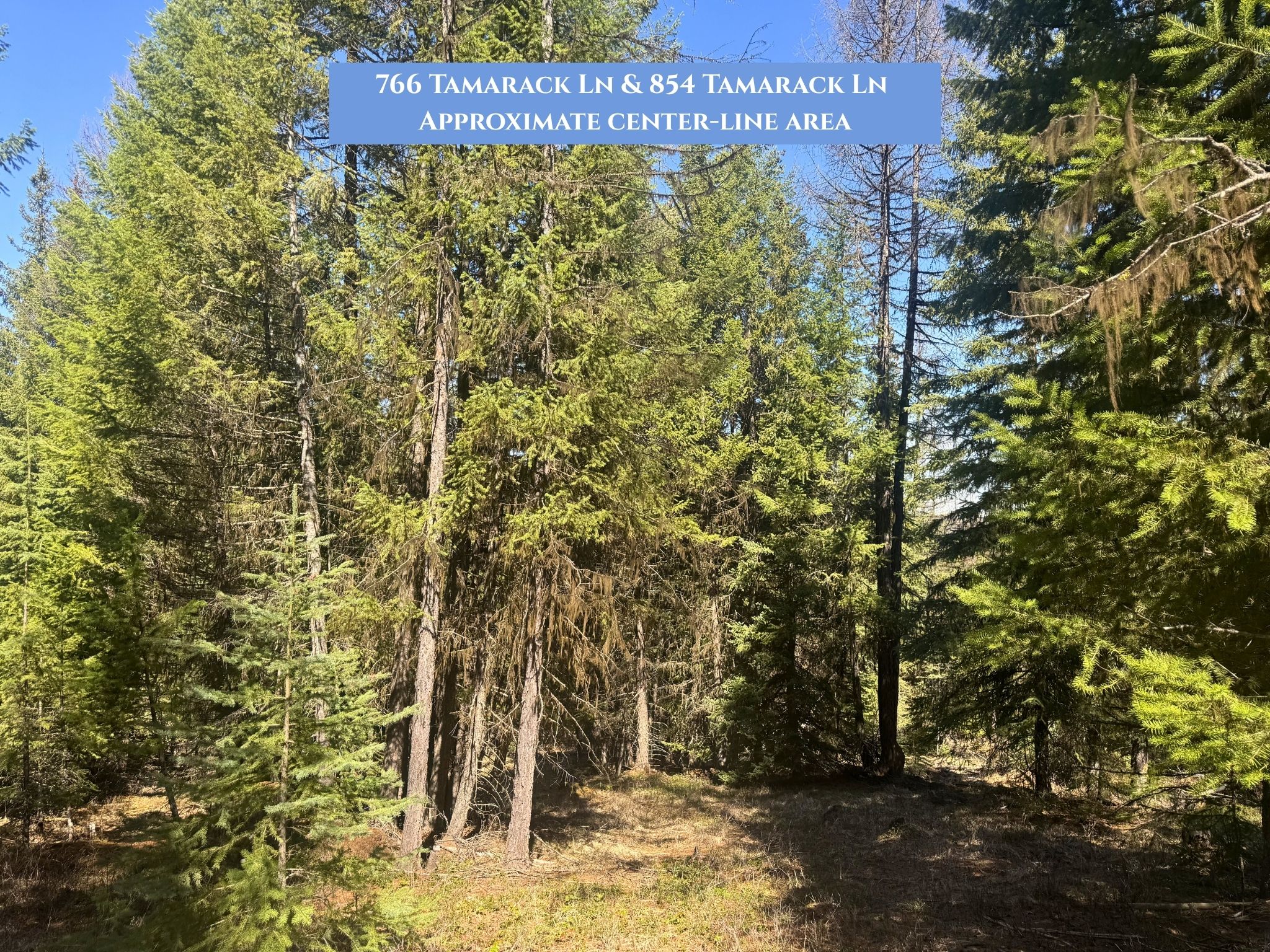 Lots 11 & 14 Tamarack Lane