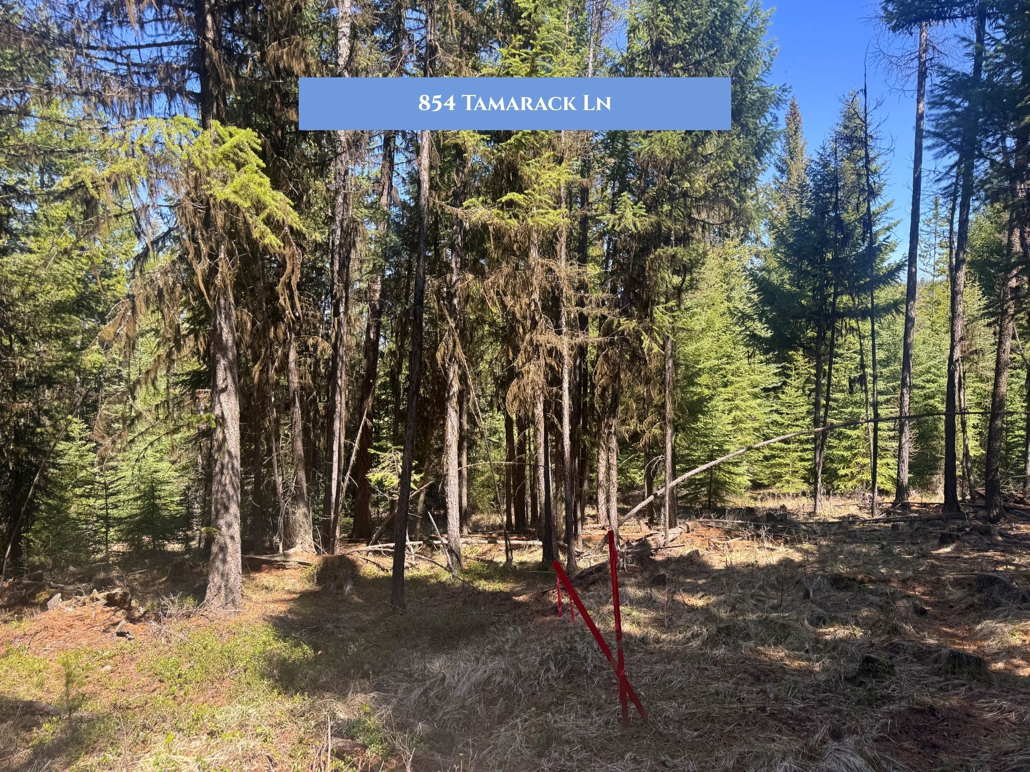 Lots 11 & 14 Tamarack Lane