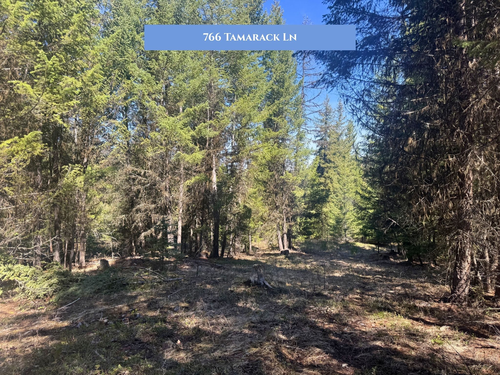 Lots 11 & 14 Tamarack Lane