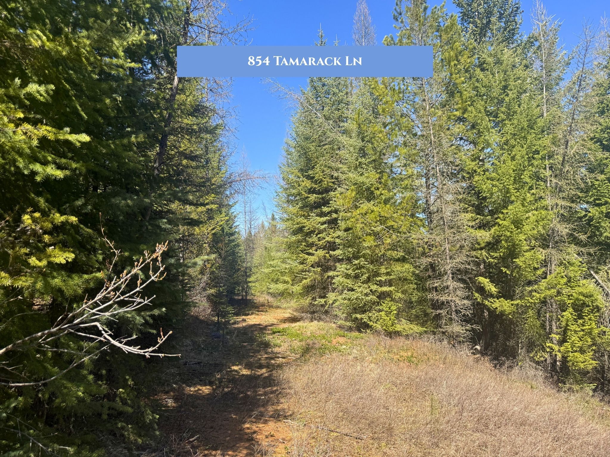 Lots 11 & 14 Tamarack Lane