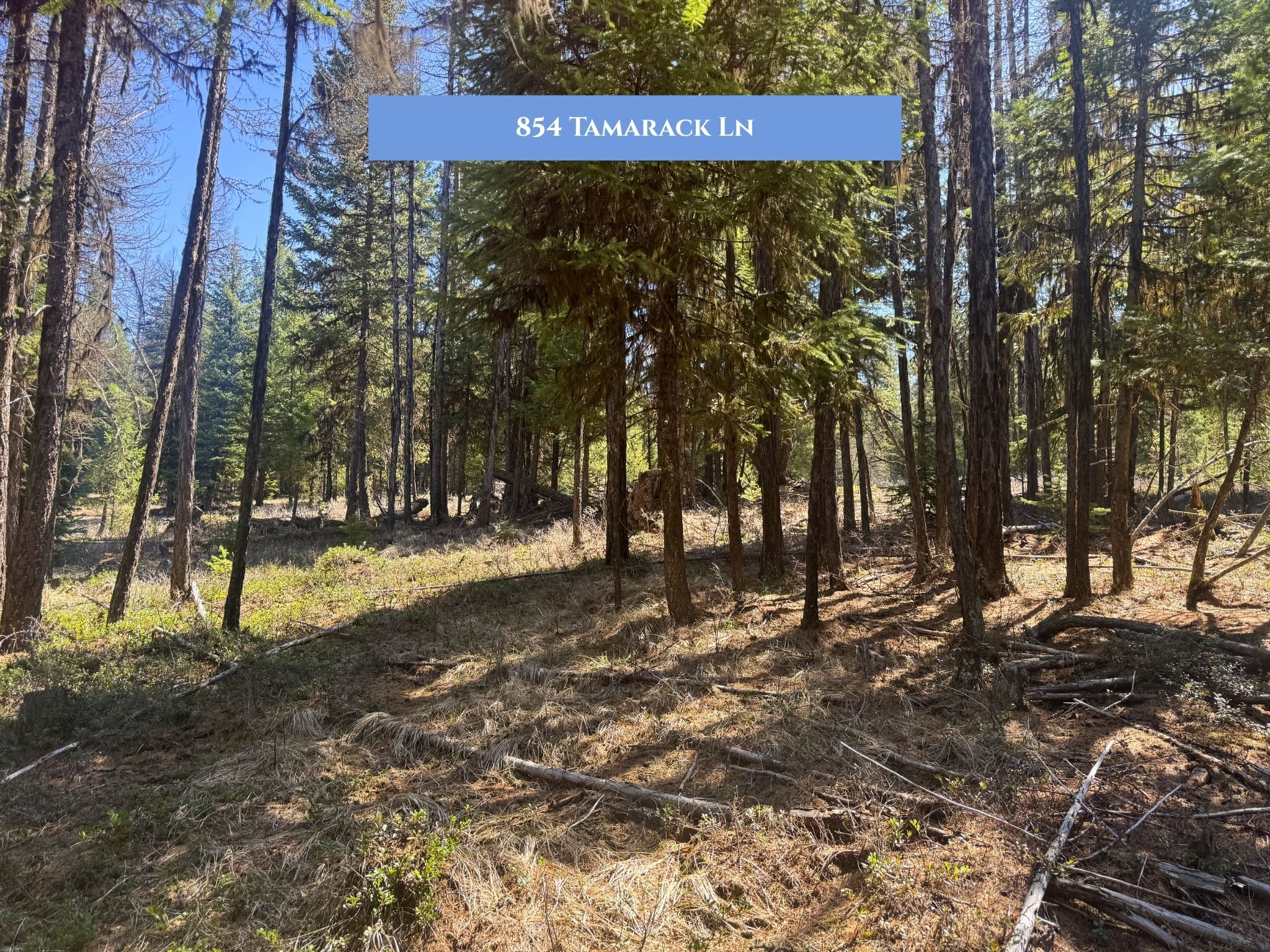 Lots 11 & 14 Tamarack Lane