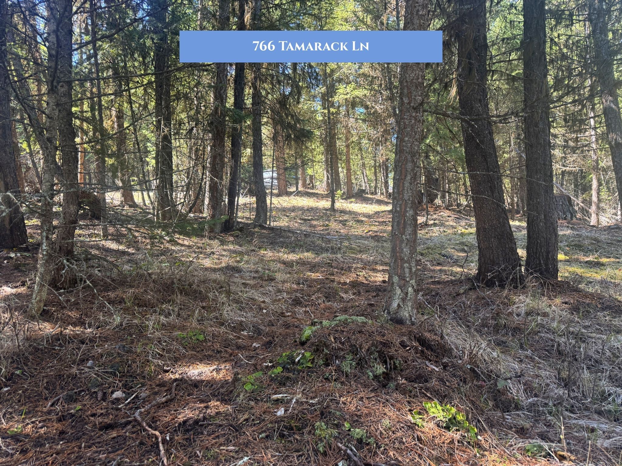 Lots 11 & 14 Tamarack Lane