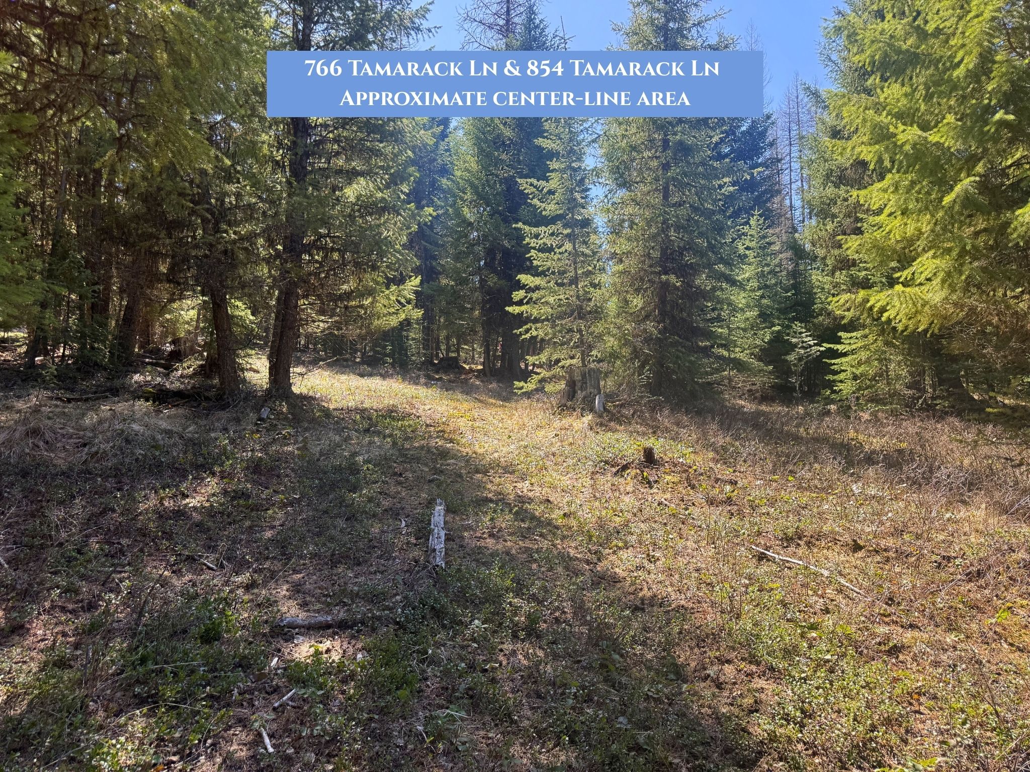 Lots 11 & 14 Tamarack Lane