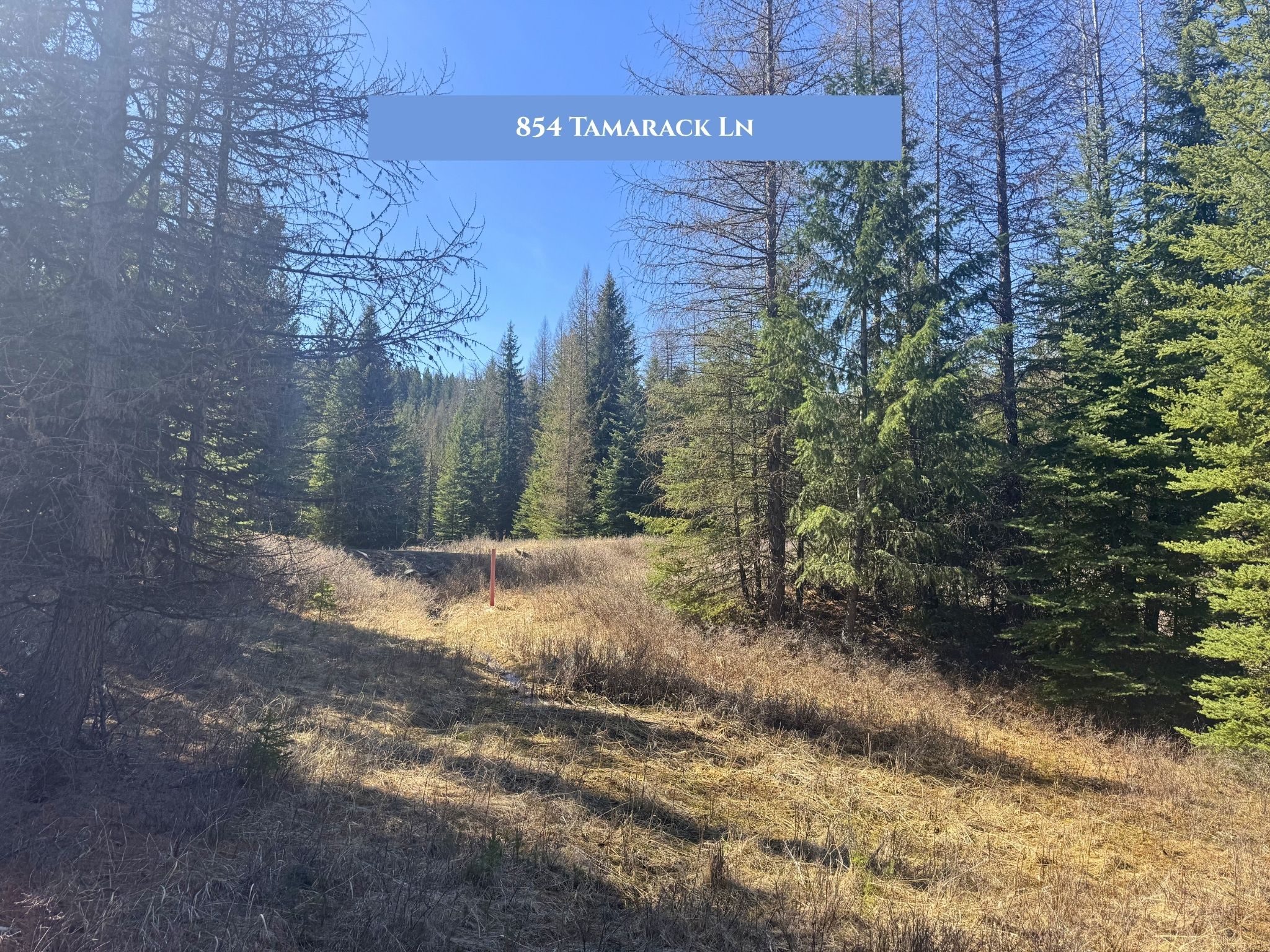 Lots 11 & 14 Tamarack Lane