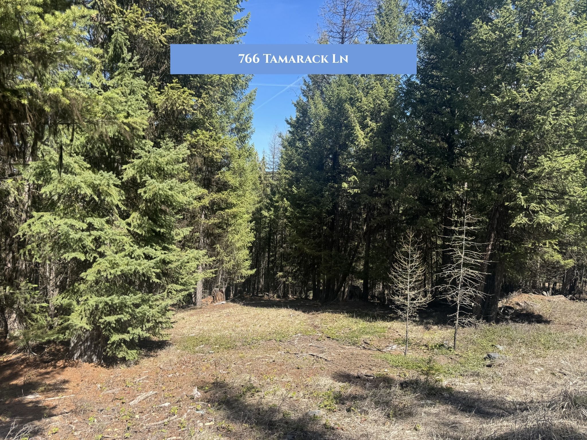 Lots 11 & 14 Tamarack Lane