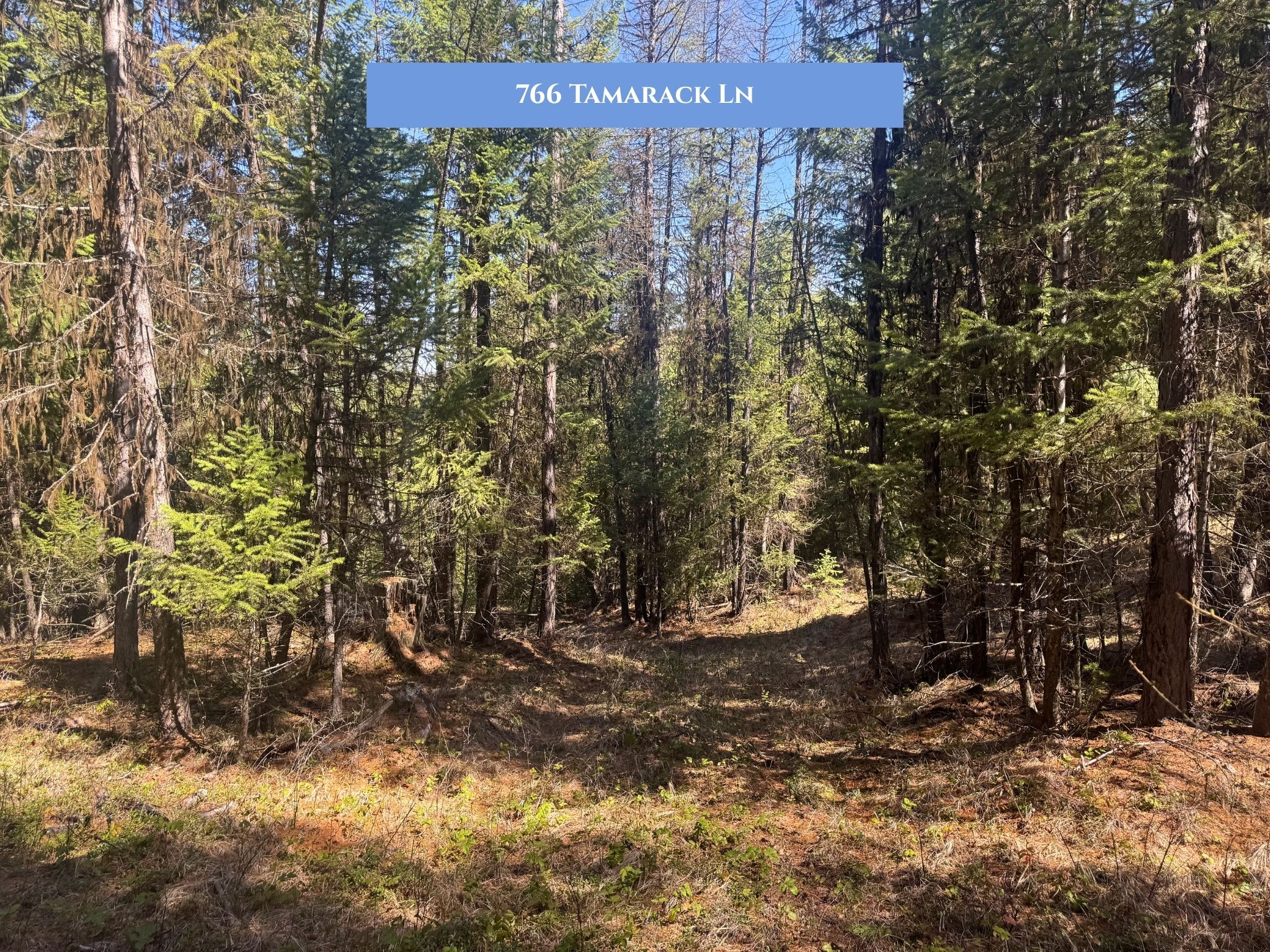 Lots 11 & 14 Tamarack Lane