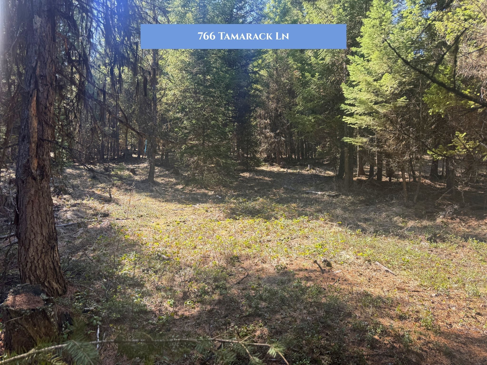 Lots 11 & 14 Tamarack Lane