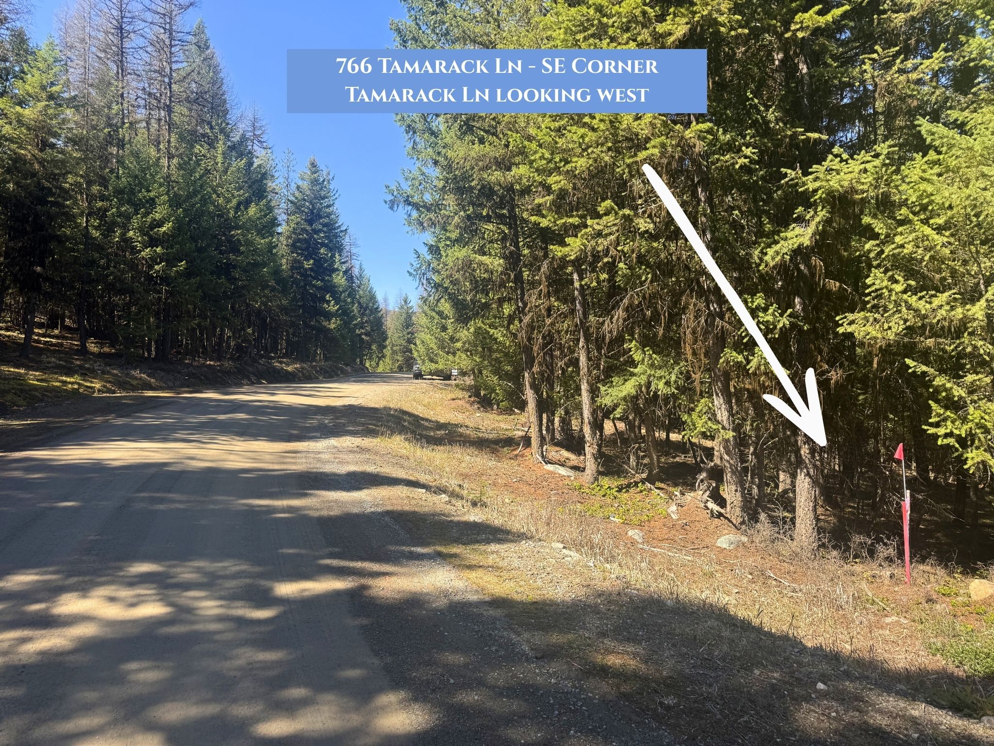 Lots 11 & 14 Tamarack Lane