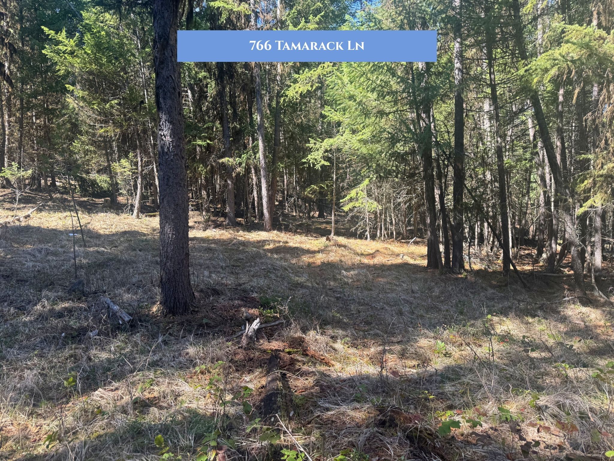 Lots 11 & 14 Tamarack Lane