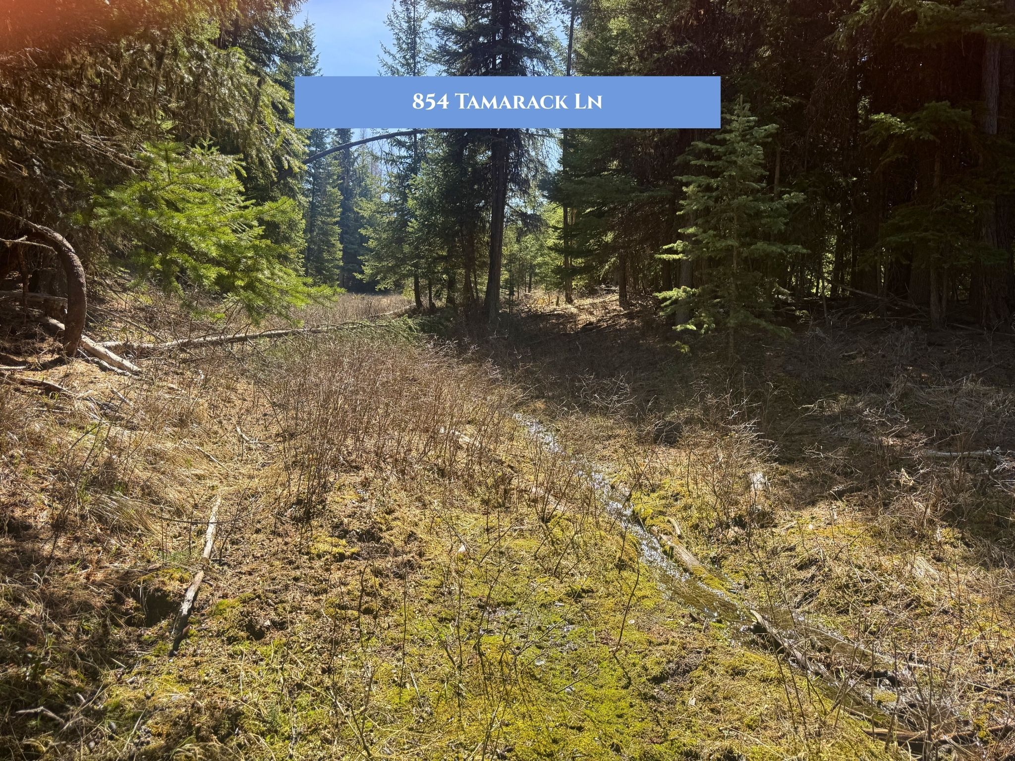 Lots 11 & 14 Tamarack Lane