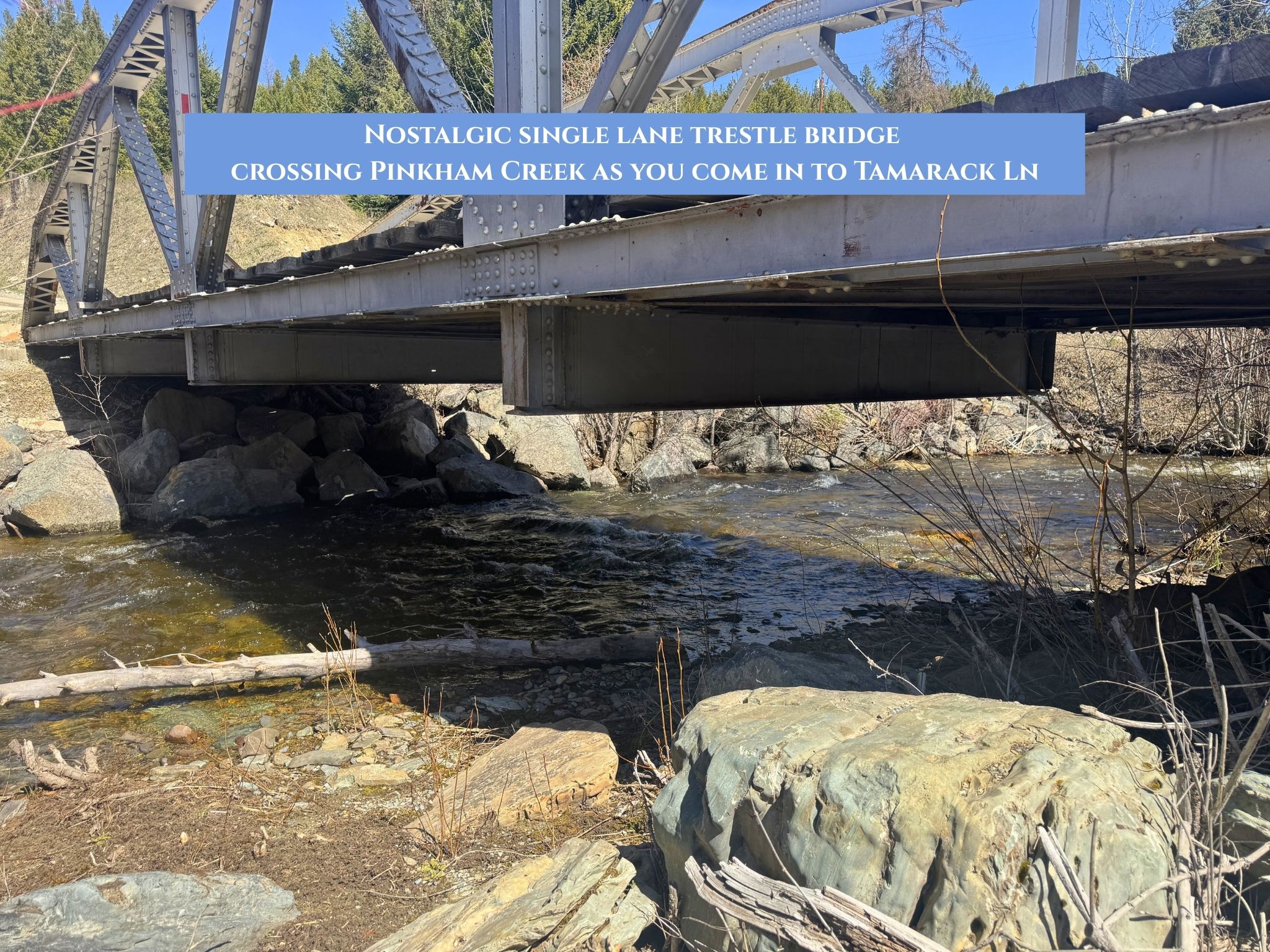 Lots 11 & 14 Tamarack Lane