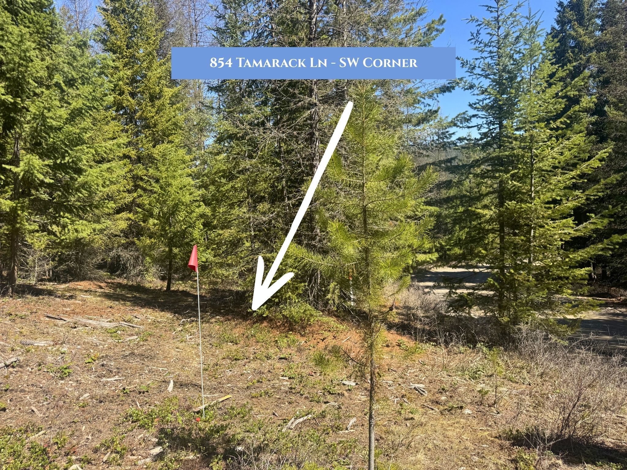 Lots 11 & 14 Tamarack Lane