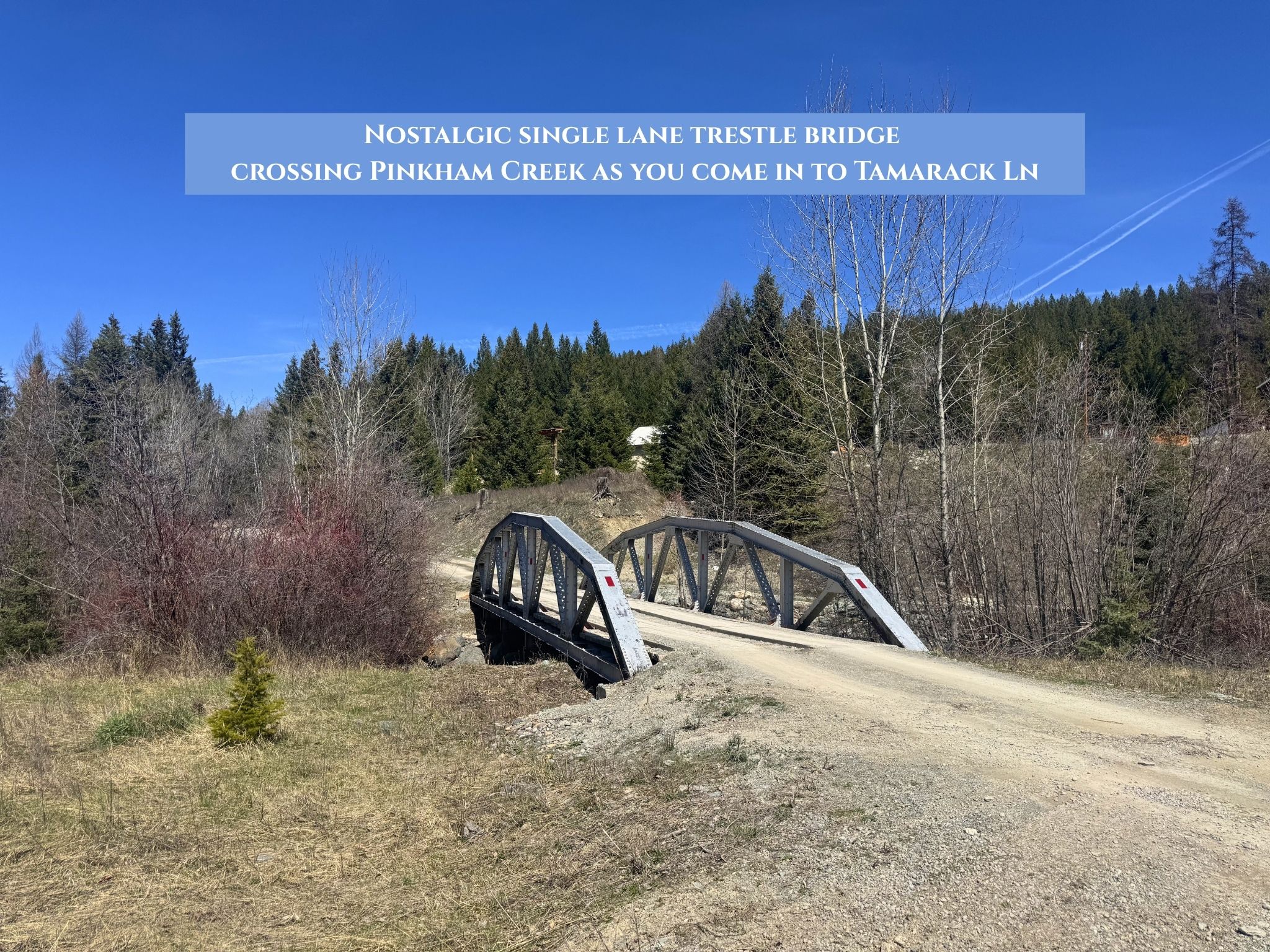 Lots 11 & 14 Tamarack Lane