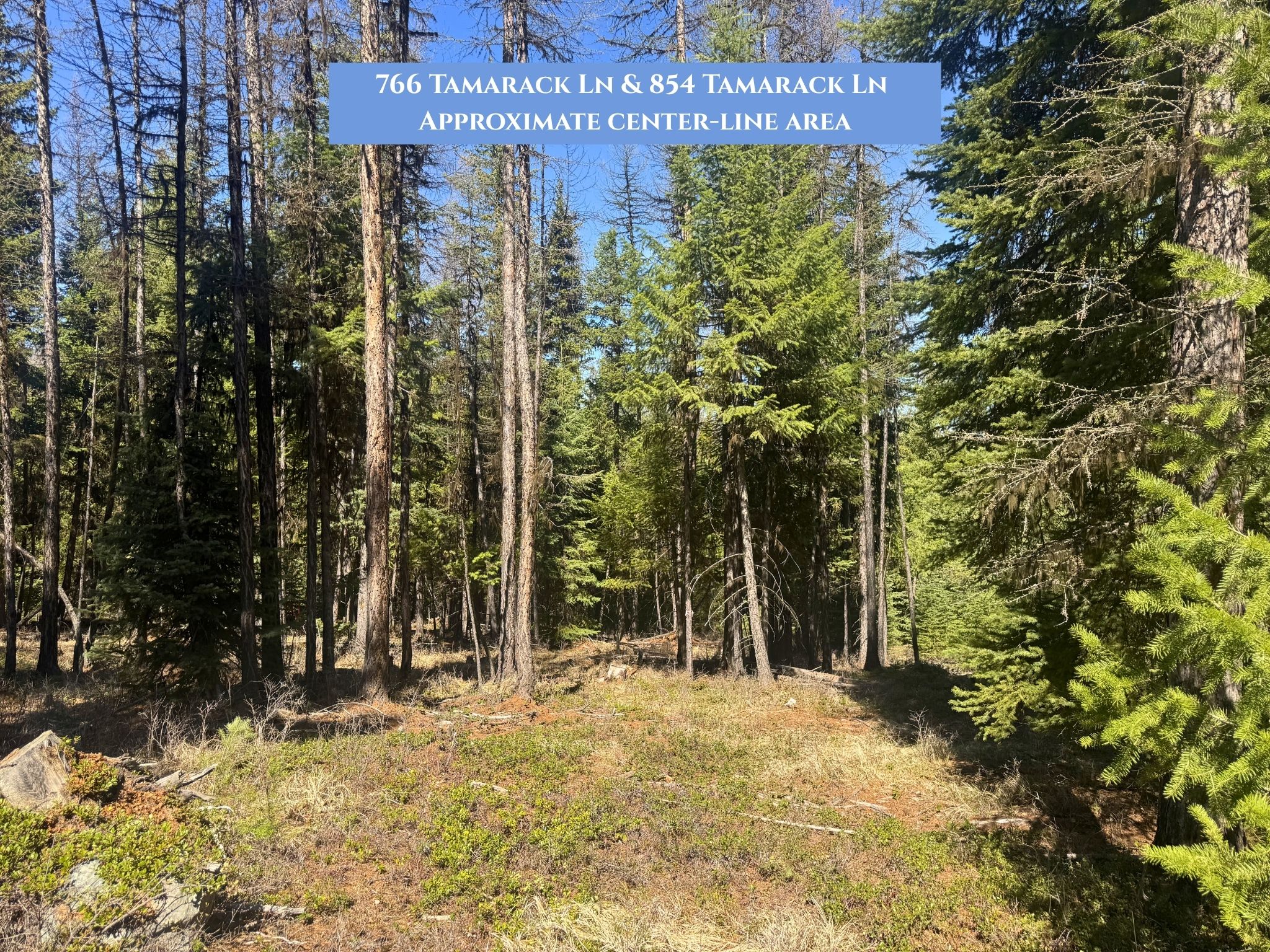 Lots 11 & 14 Tamarack Lane