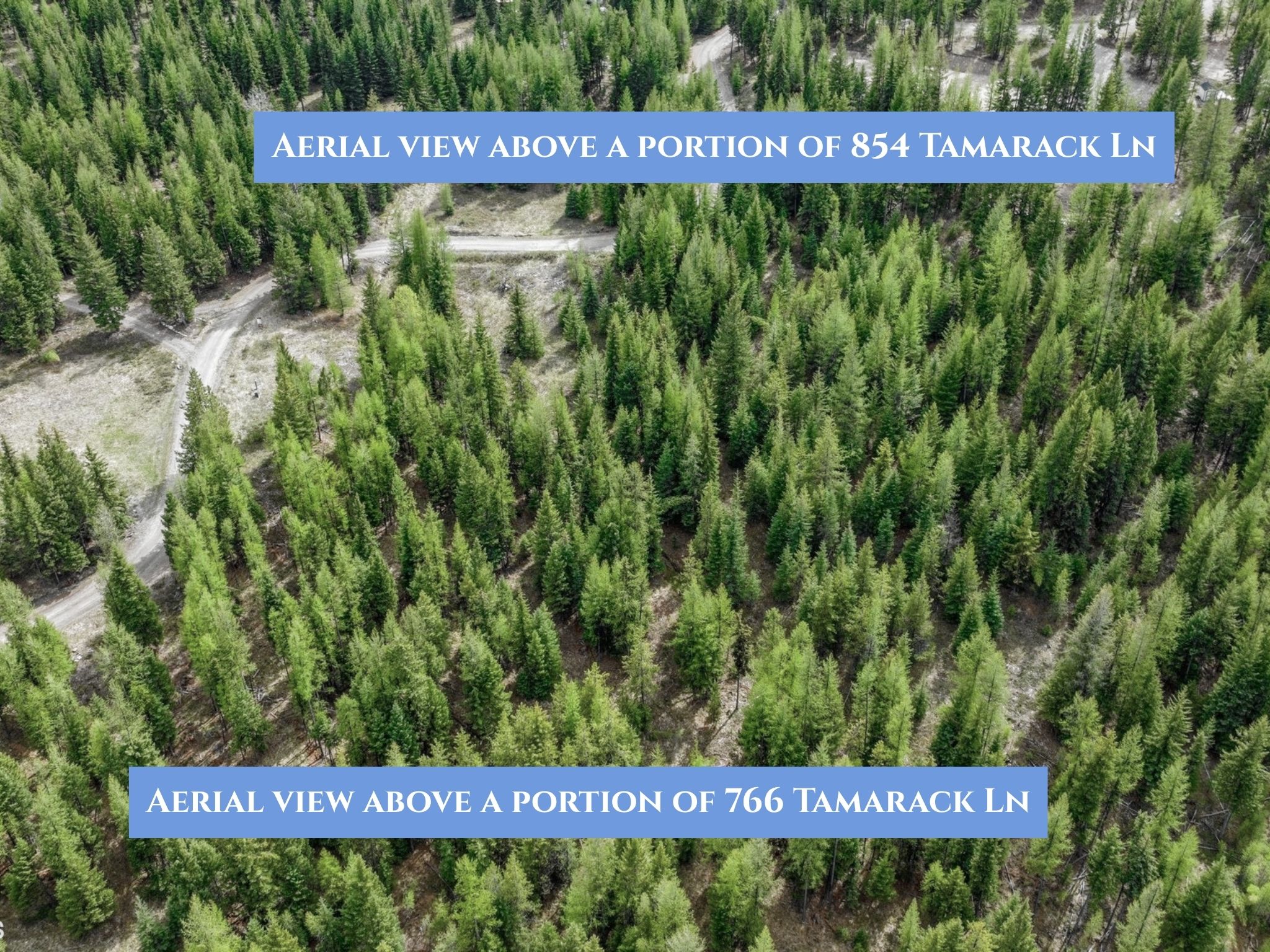 Lots 11 & 14 Tamarack Lane