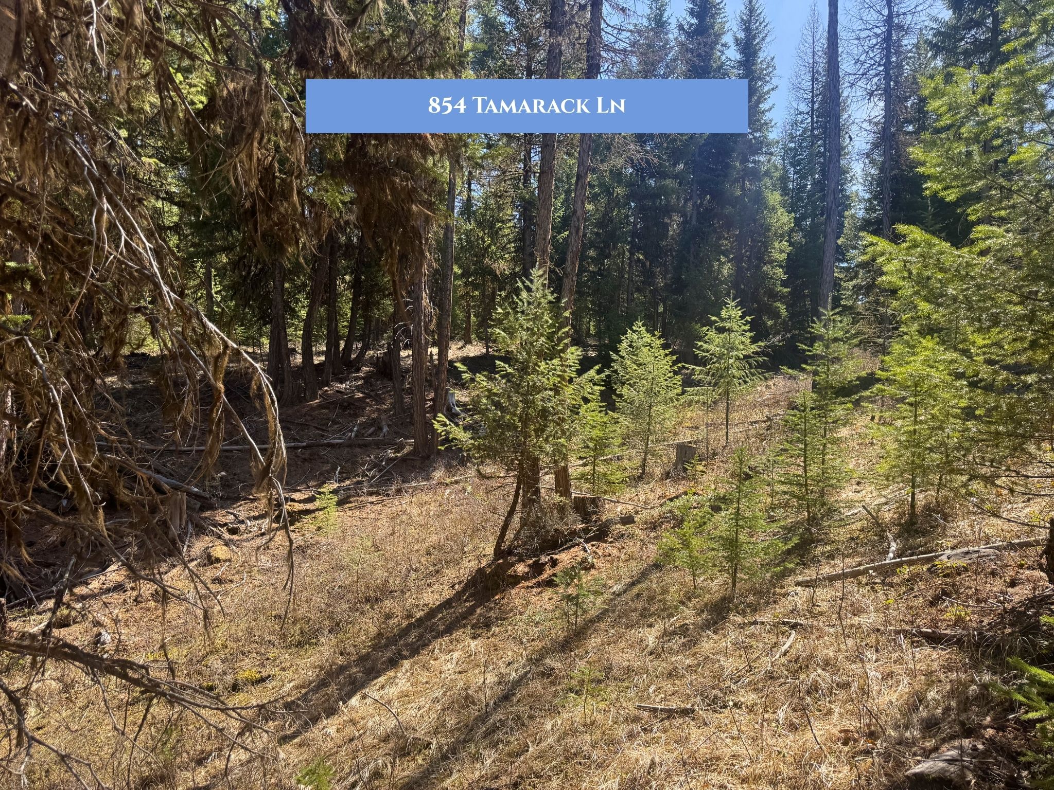 Lots 11 & 14 Tamarack Lane