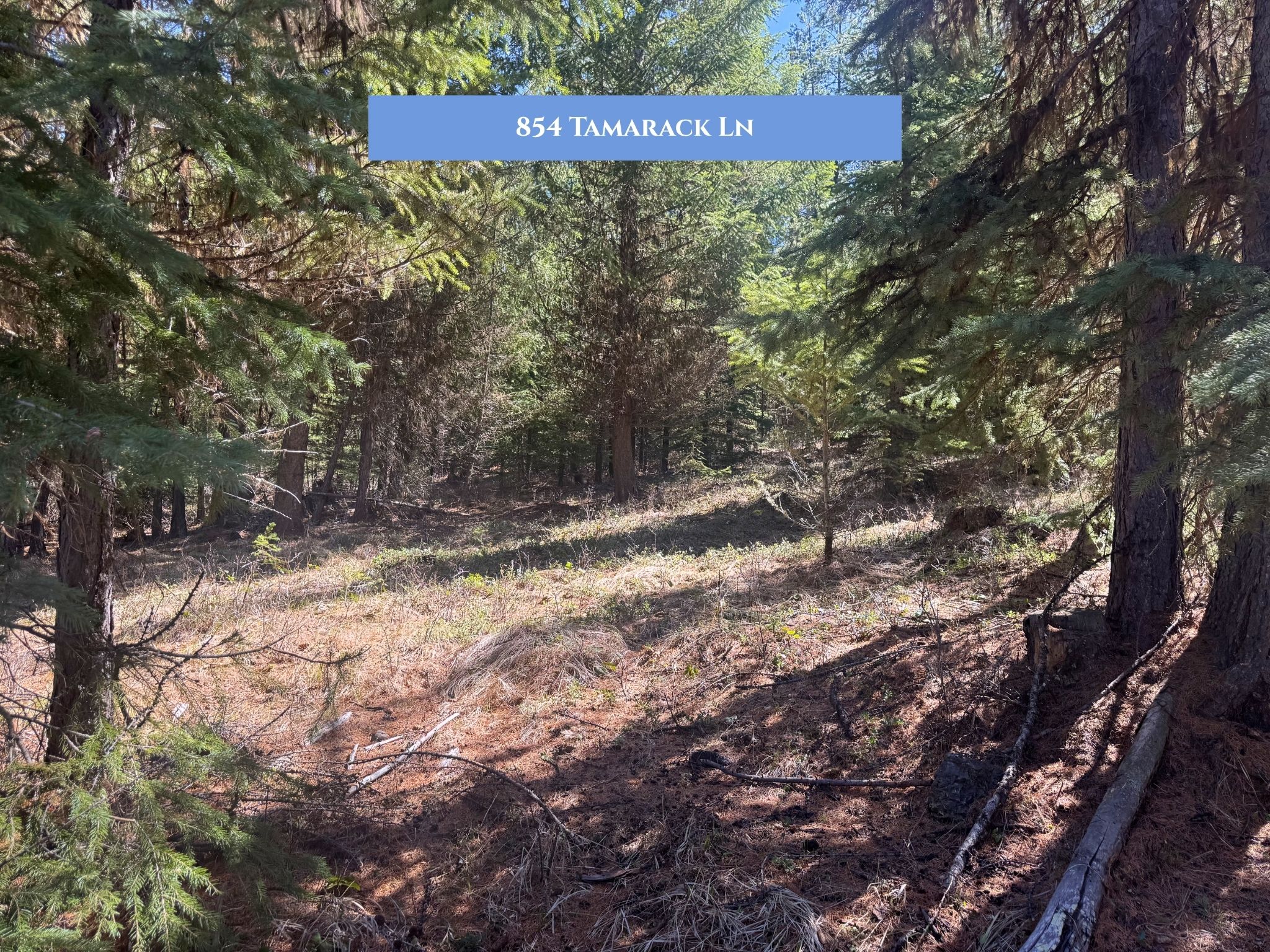 Lots 11 & 14 Tamarack Lane