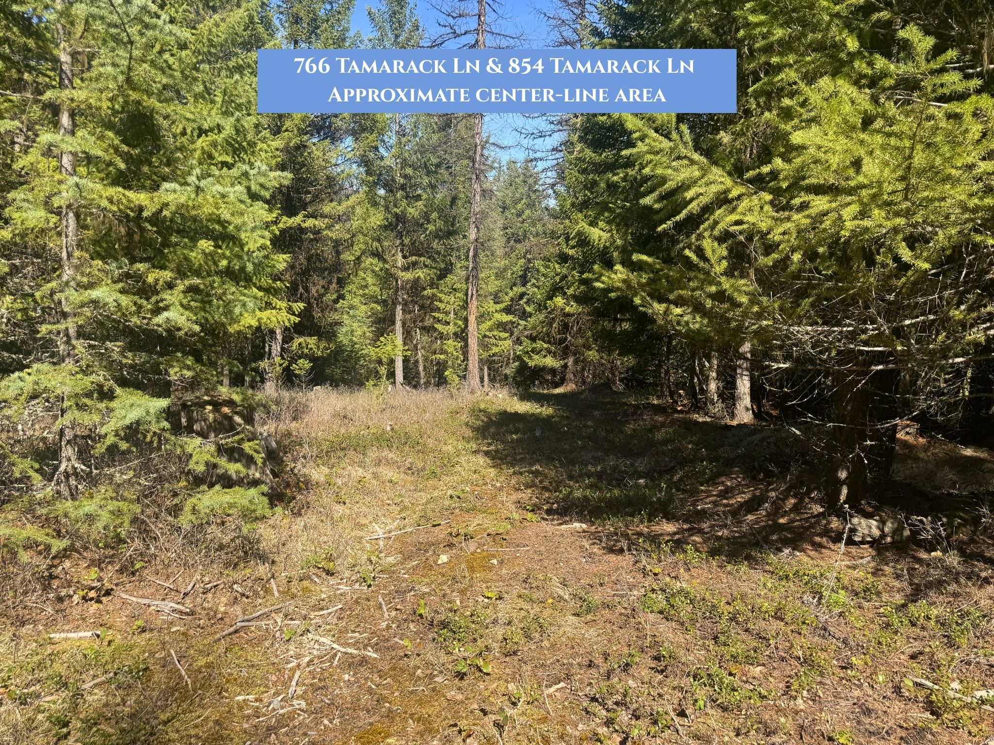 Lots 11 & 14 Tamarack Lane