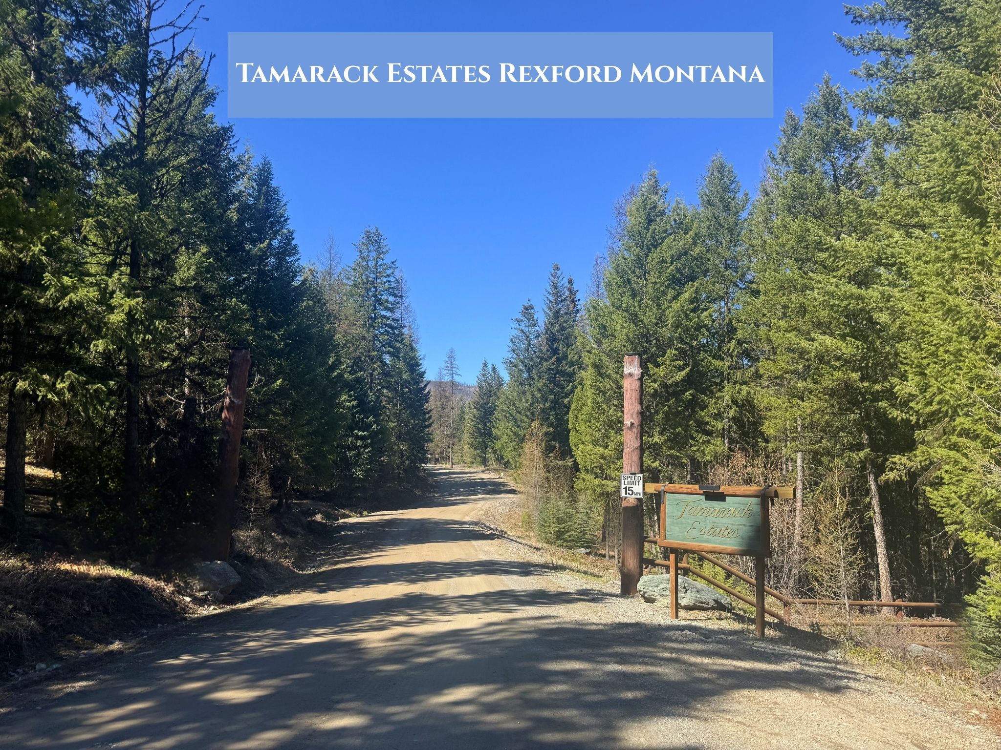Lots 11 & 14 Tamarack Lane