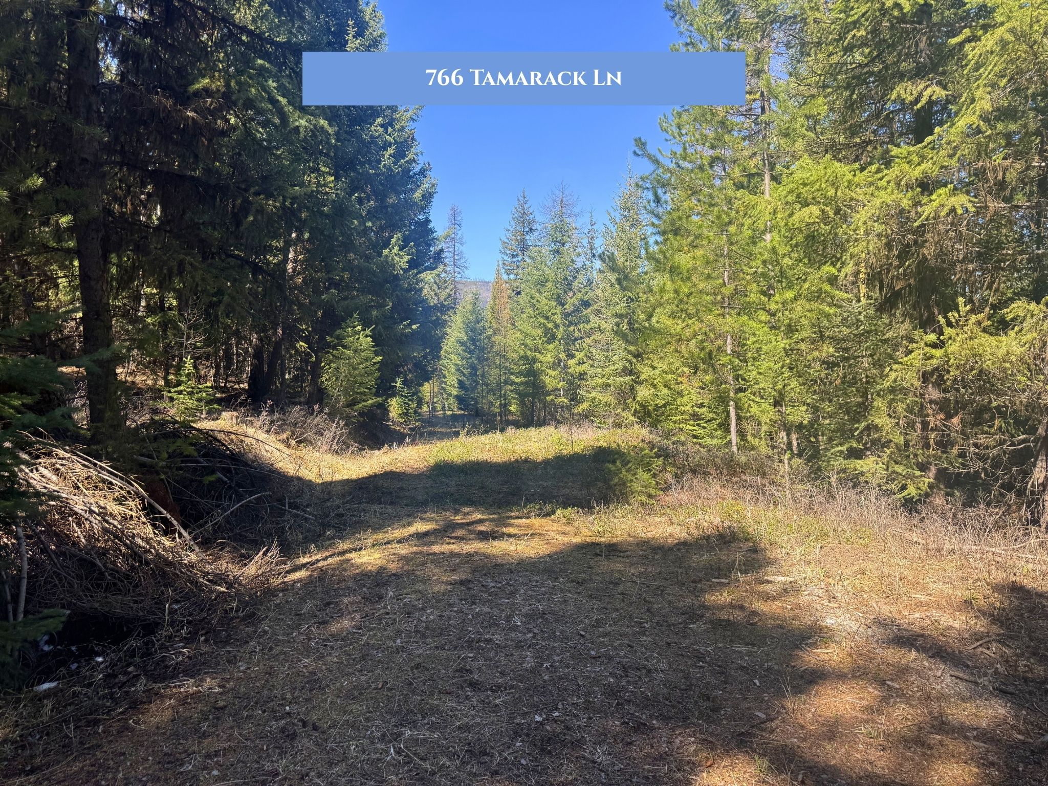 Lots 11 & 14 Tamarack Lane