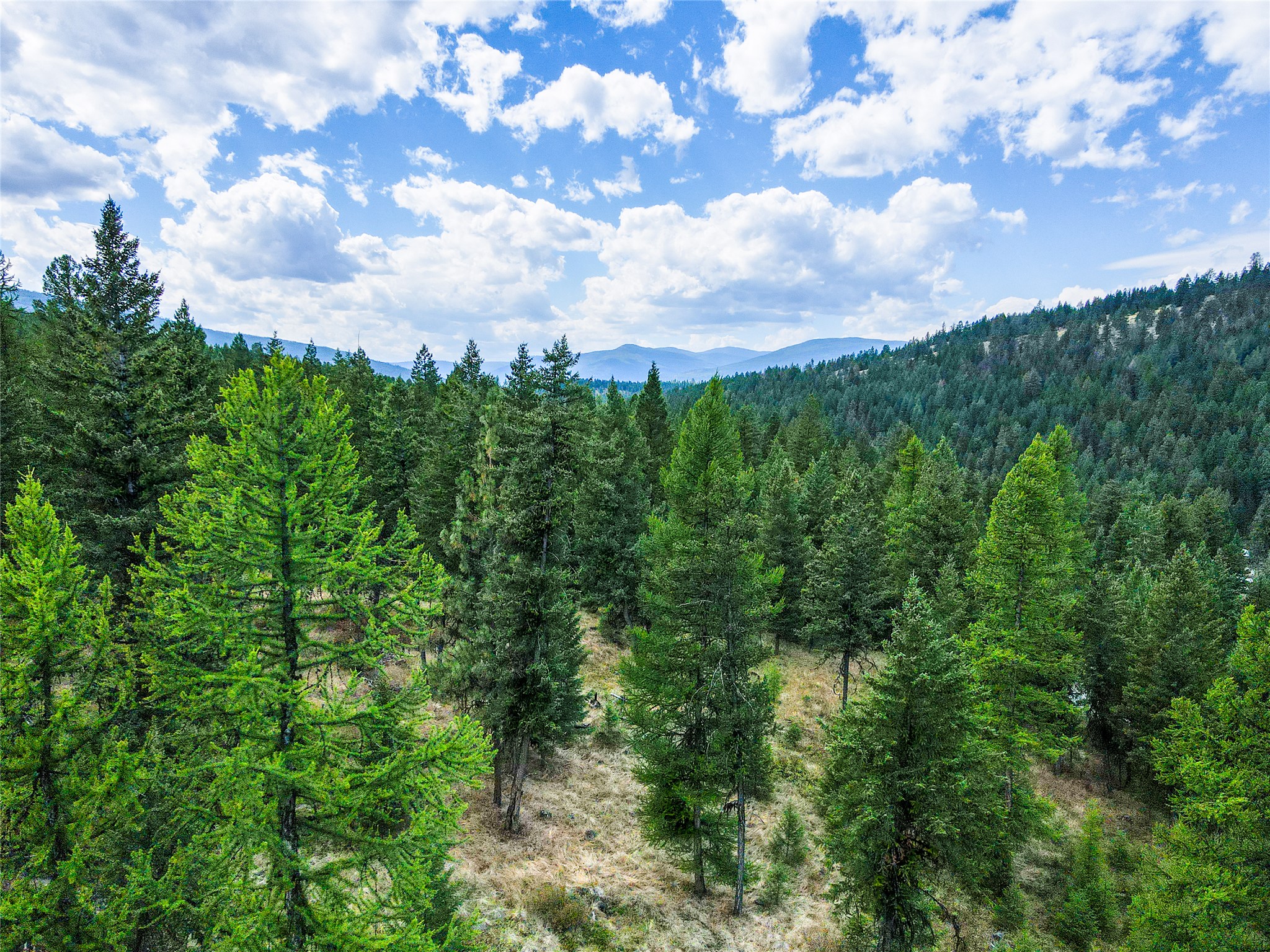 Lot 9 Angus Drive
