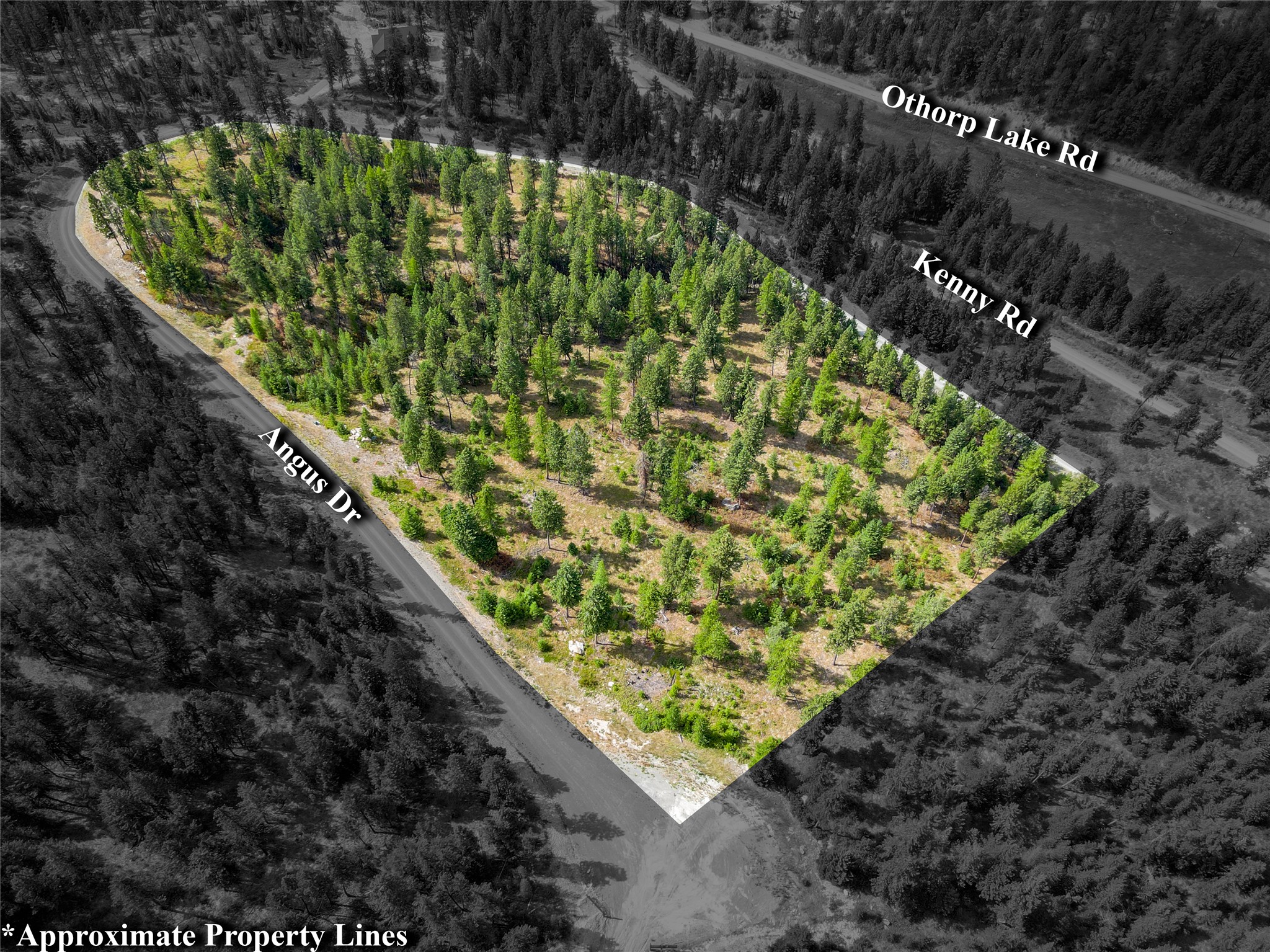 Lot 9 Angus Drive