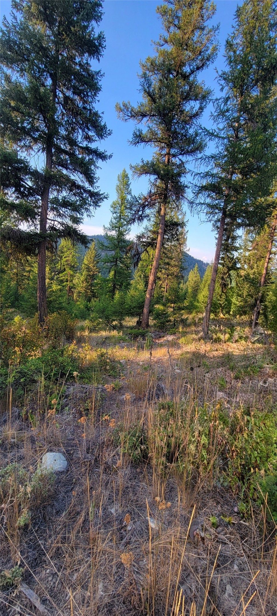 Lot 9 Angus Drive