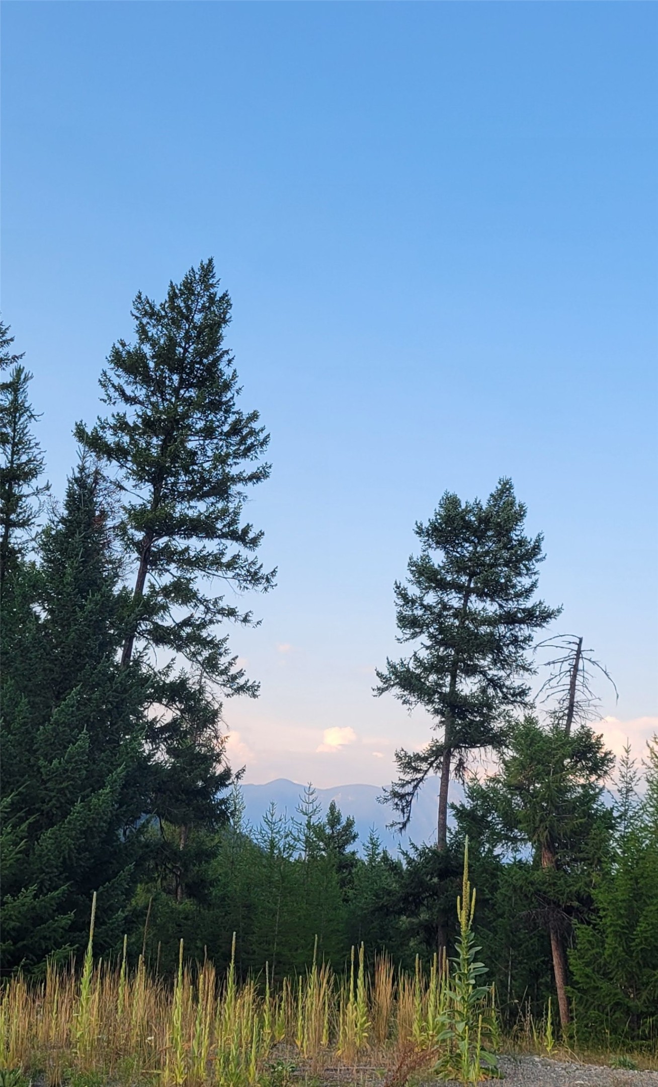 Lot 9 Angus Drive
