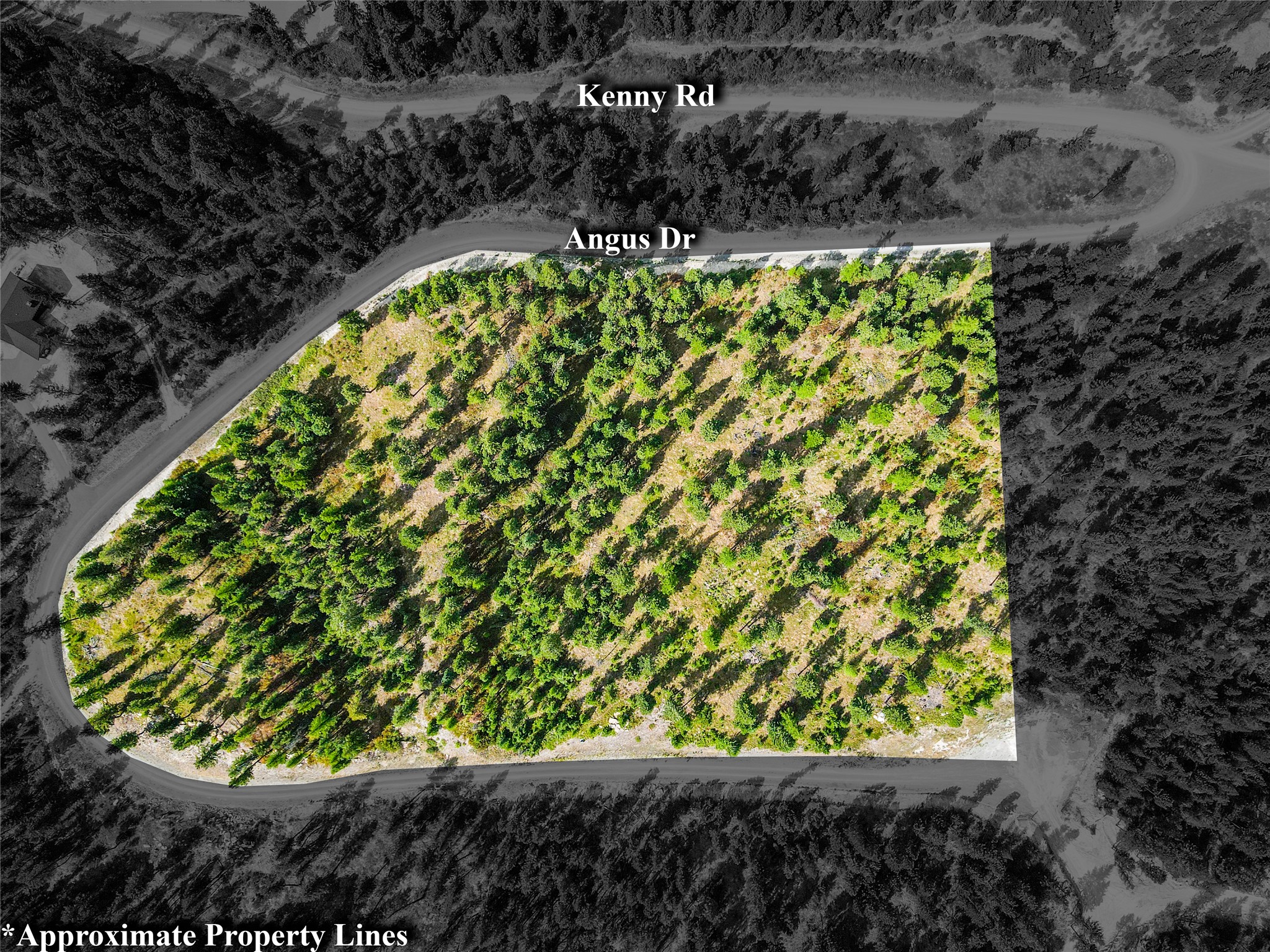 Lot 9 Angus Drive
