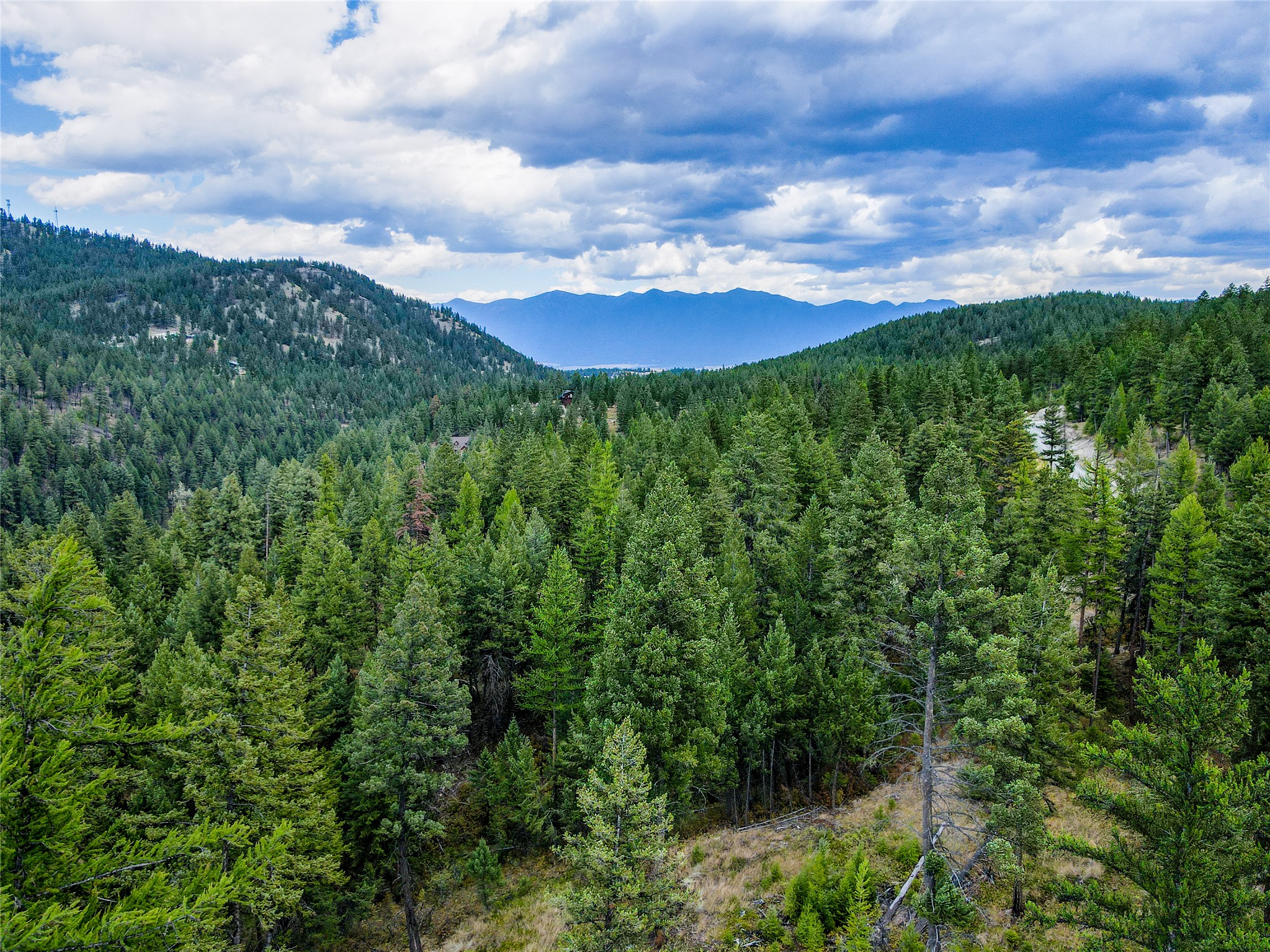Lot 9 Angus Drive