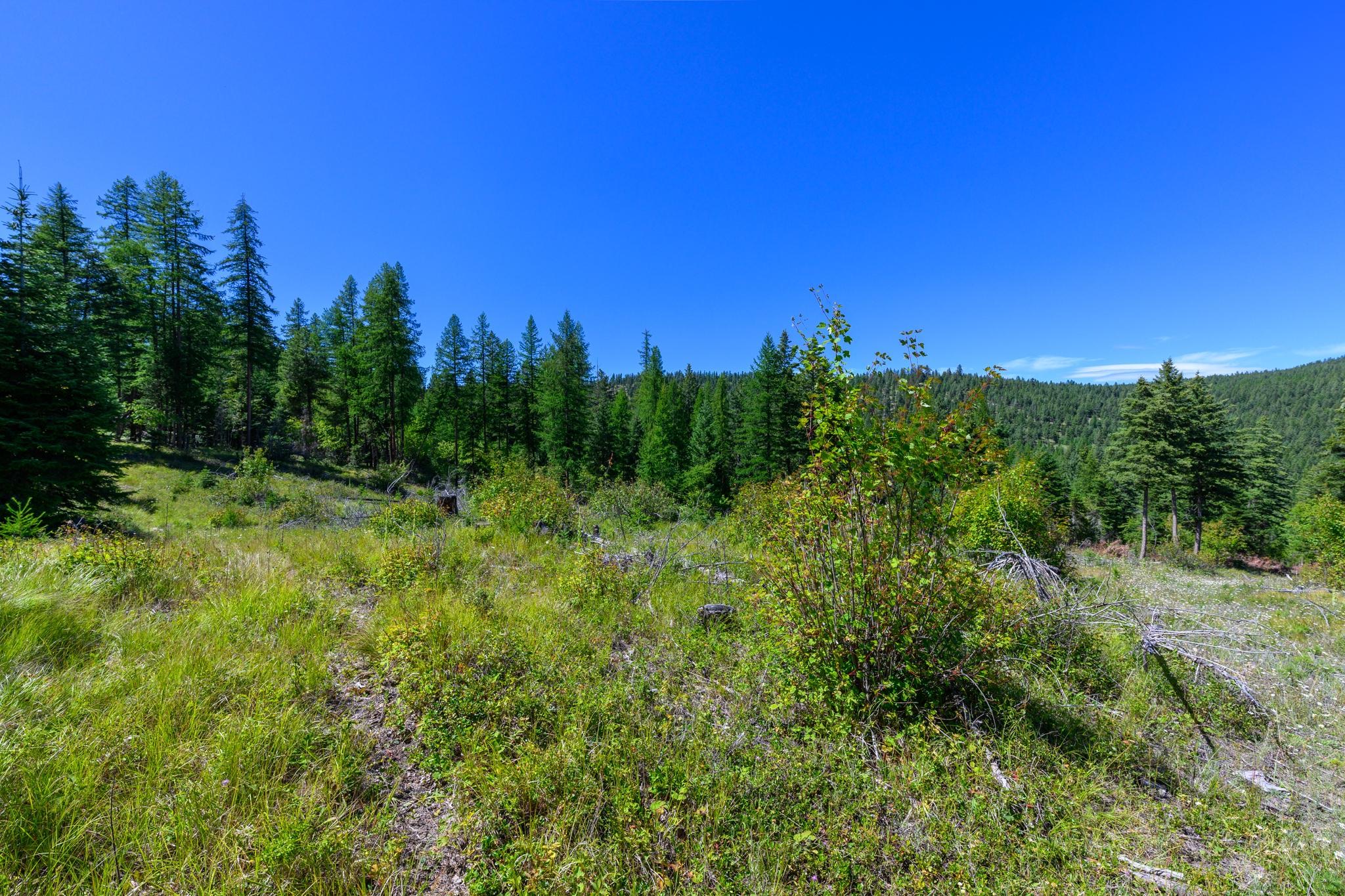 548 Spruce Hollow Trail