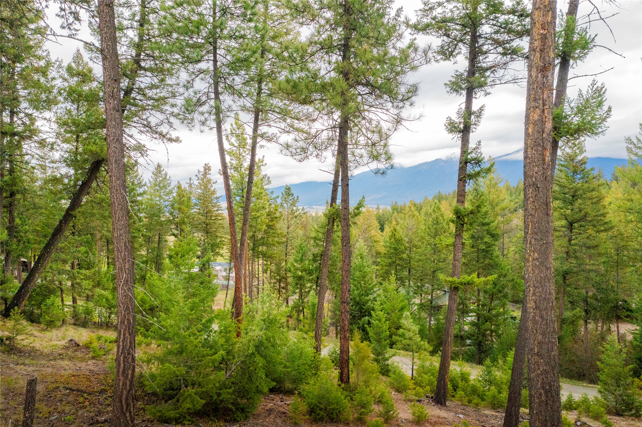 Lot 7 Tobacco Valley View Road