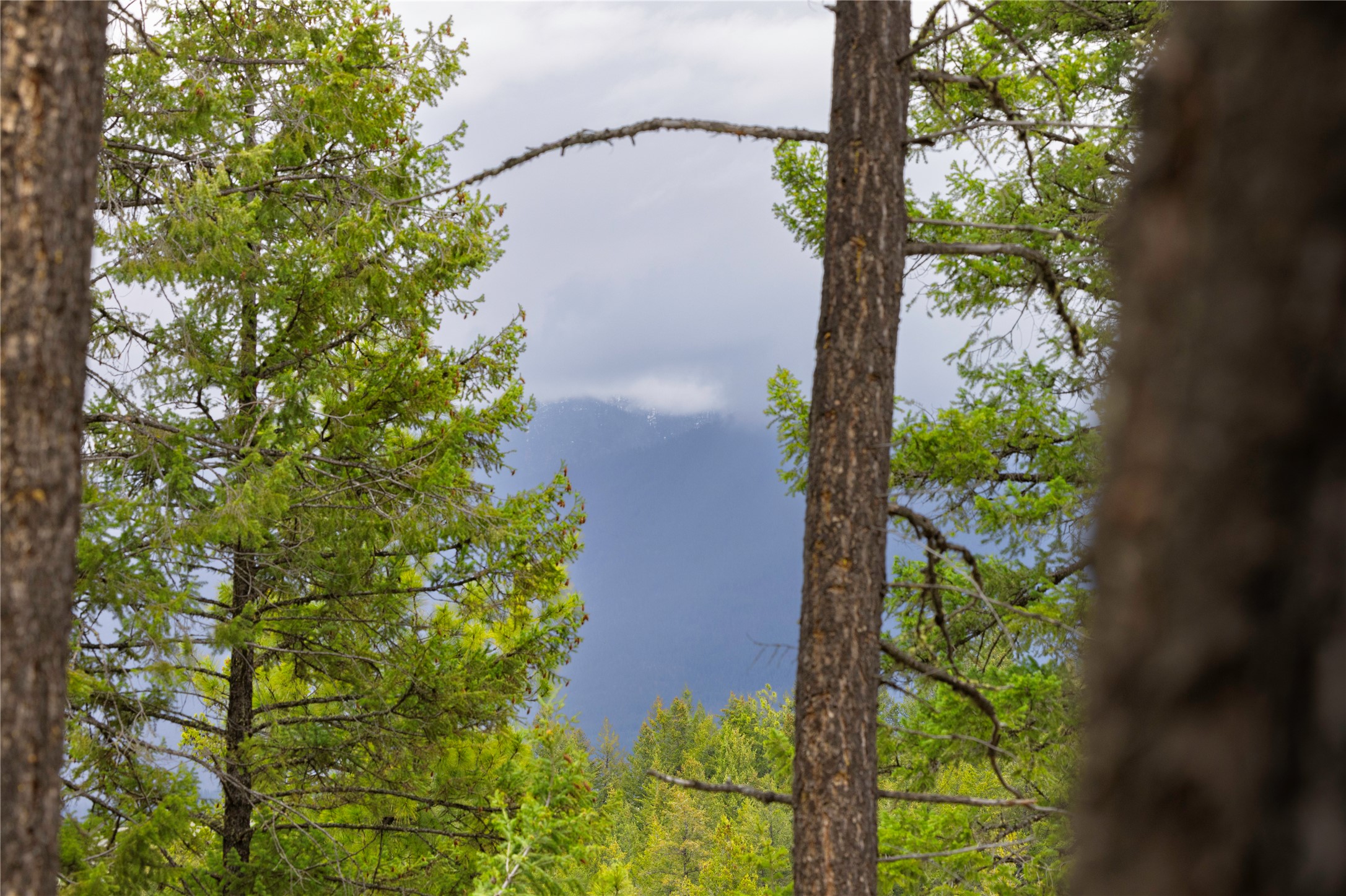 Lot 7 Tobacco Valley View Road