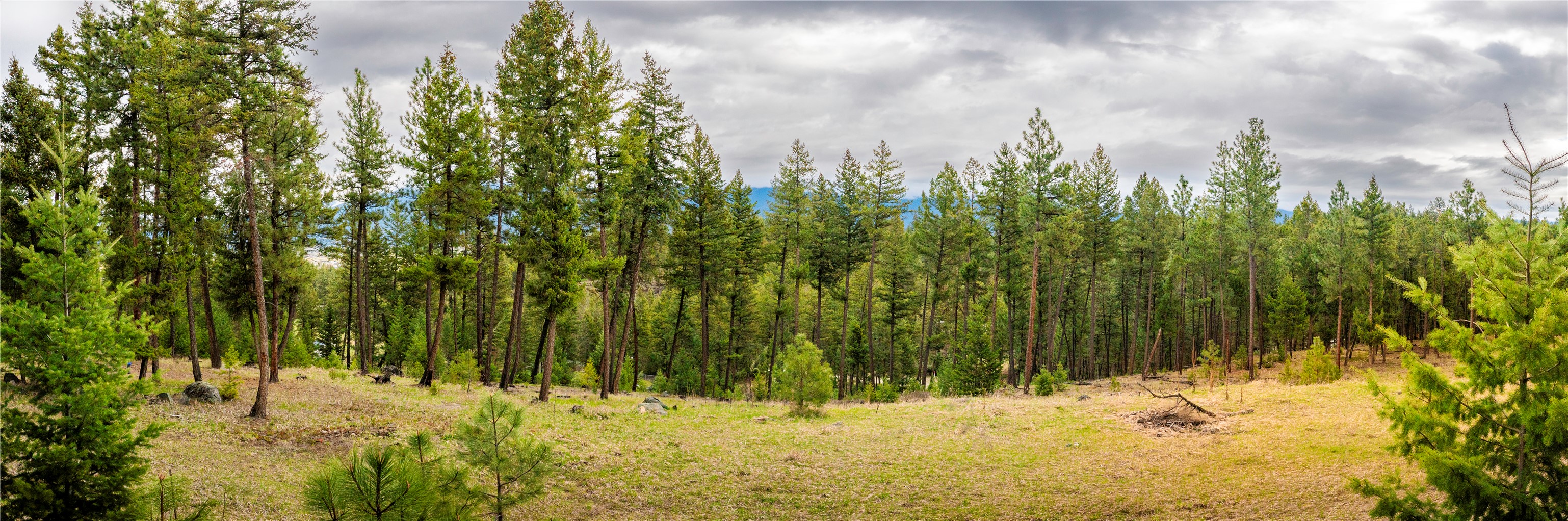 Lot 7 Tobacco Valley View Road