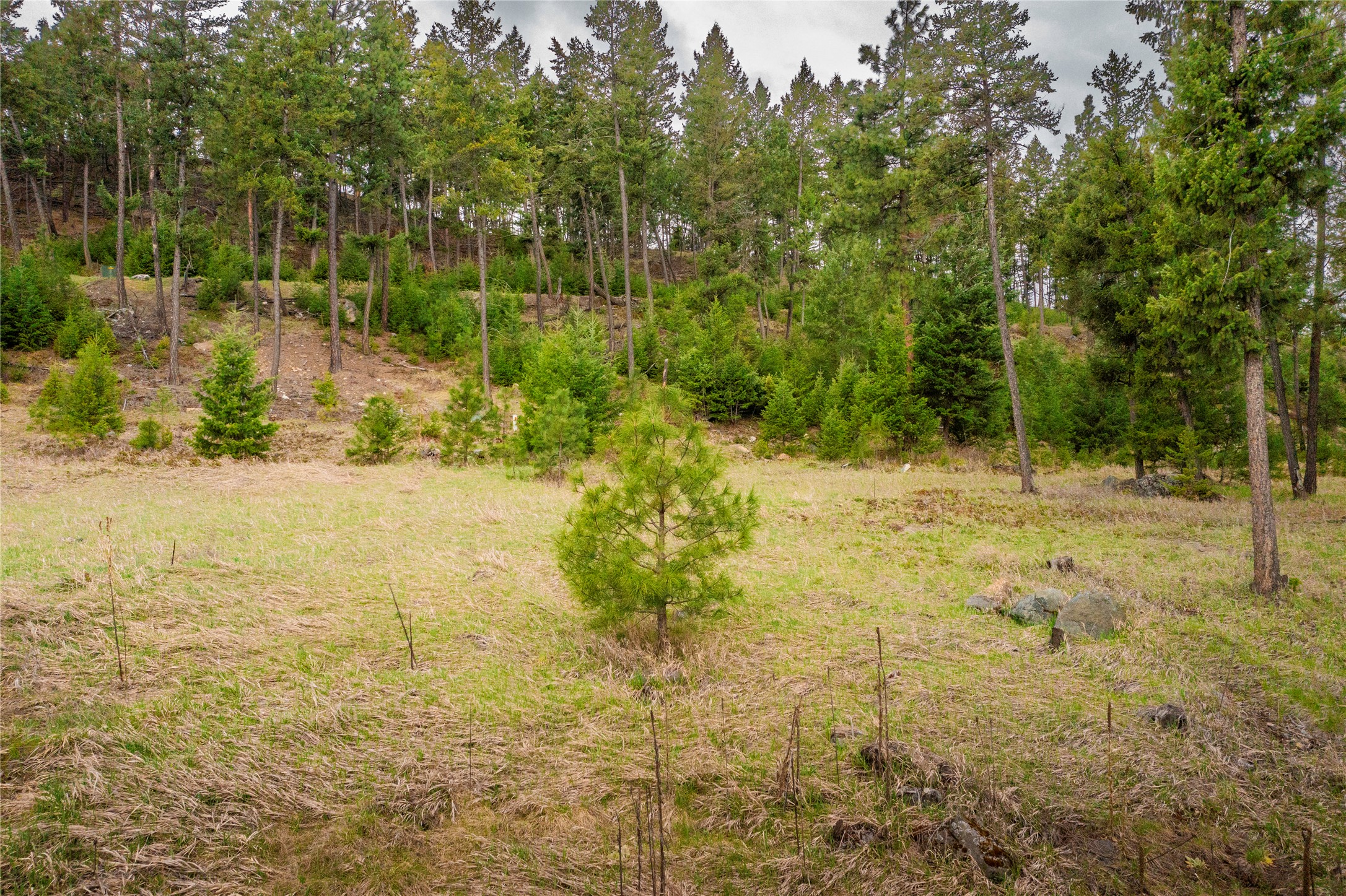 Lot 7 Tobacco Valley View Road