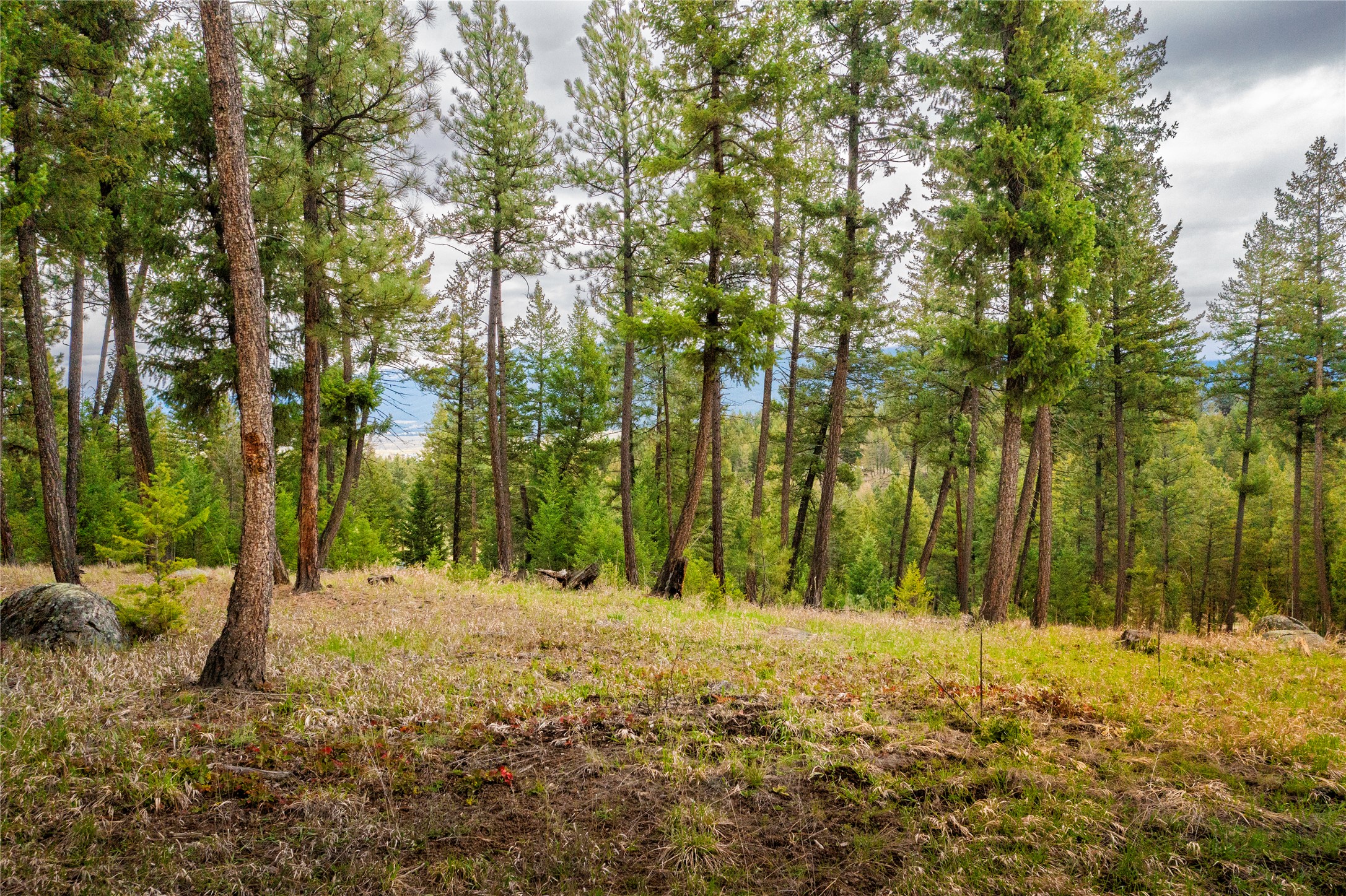 Lot 7 Tobacco Valley View Road